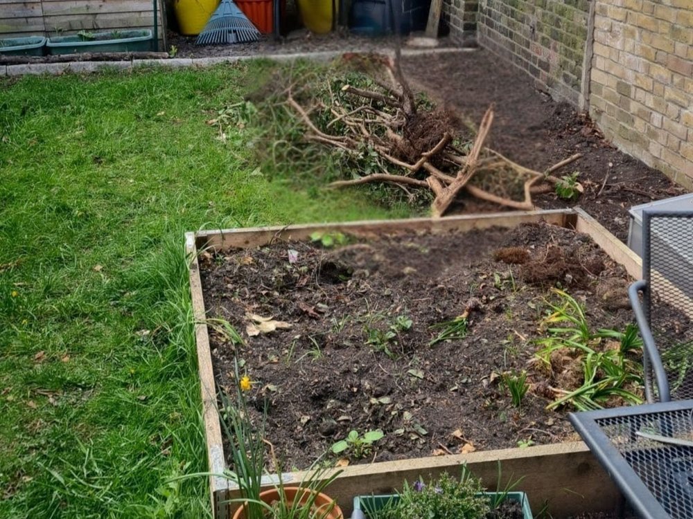 Before garden with patchy lawn and unstructured planting bed lacking defined layout