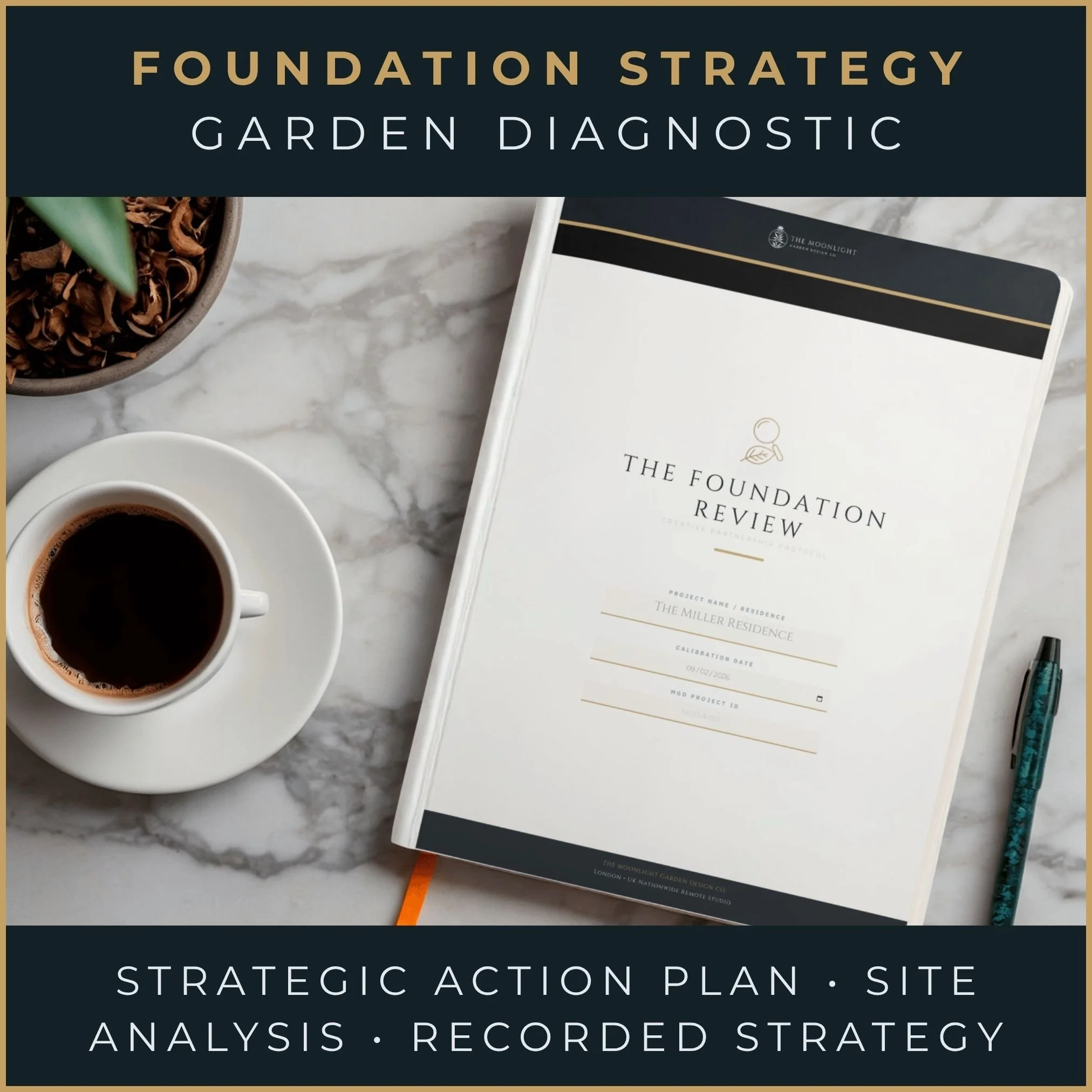 Foundation Strategy Asset | Digital Garden Diagnostic