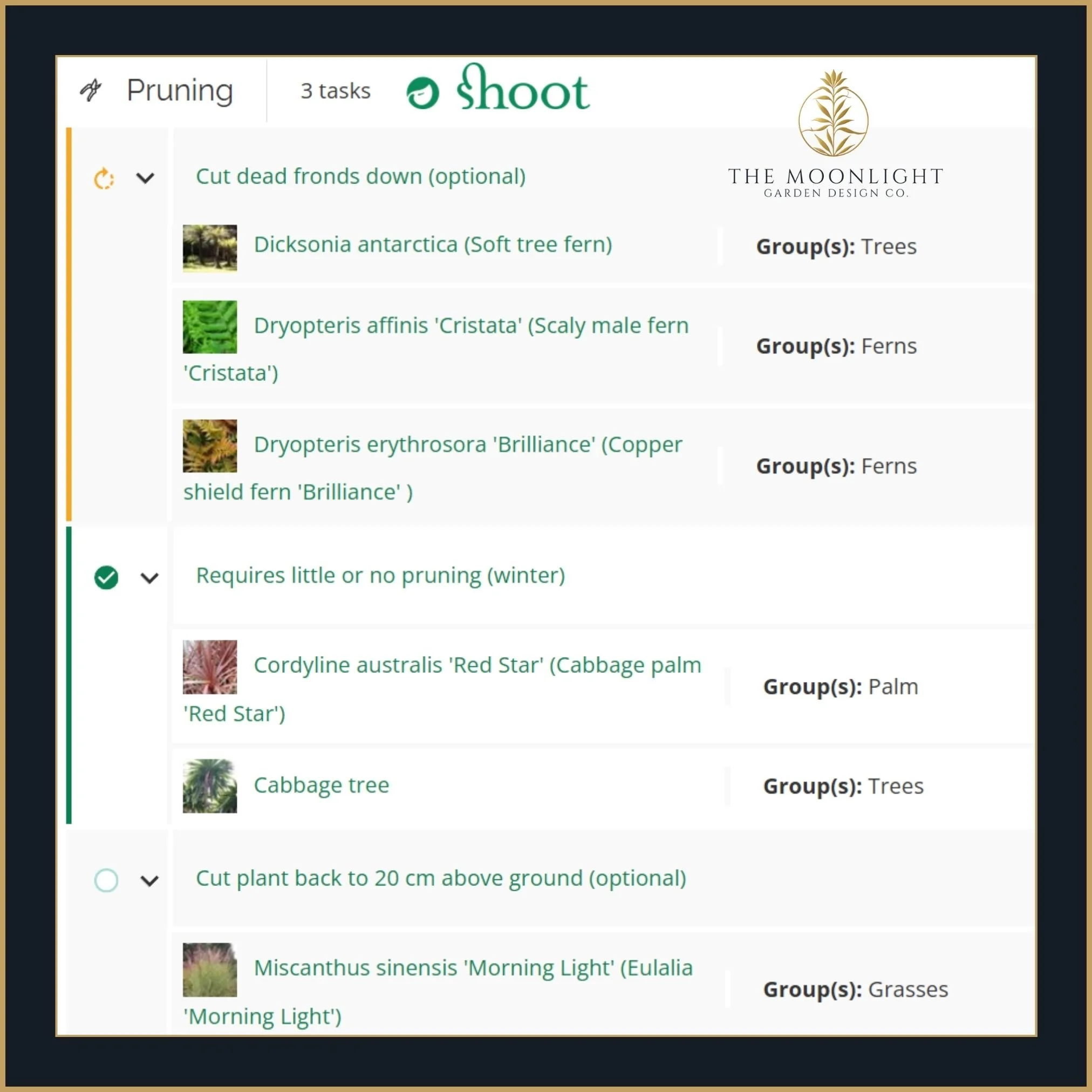 Shoot Gardening seasonal care calendar and botanical checklist.