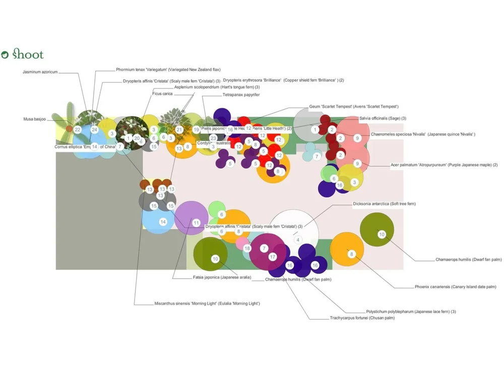 Tropical garden planting plan and botanical specification layout