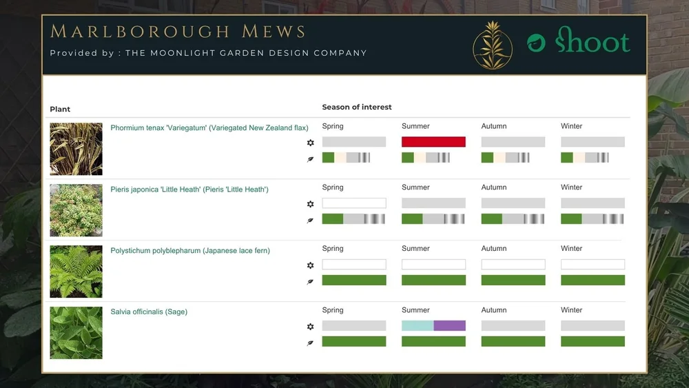 Seasonal planting calendar showing flowering and structure across seasons in garden design
