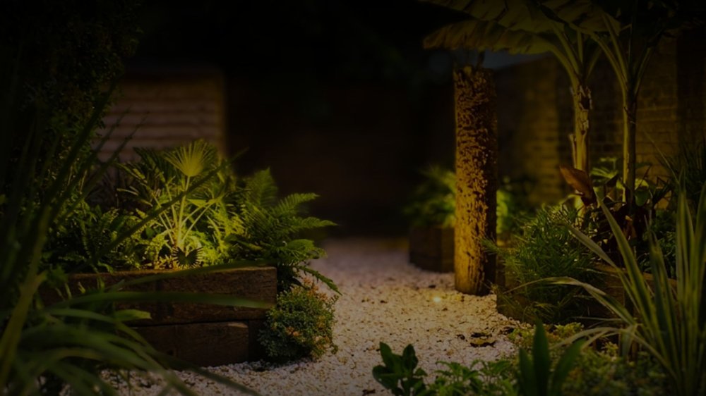 Garden illuminated at night with 2700k warm LED lighting highlighting tropical plants