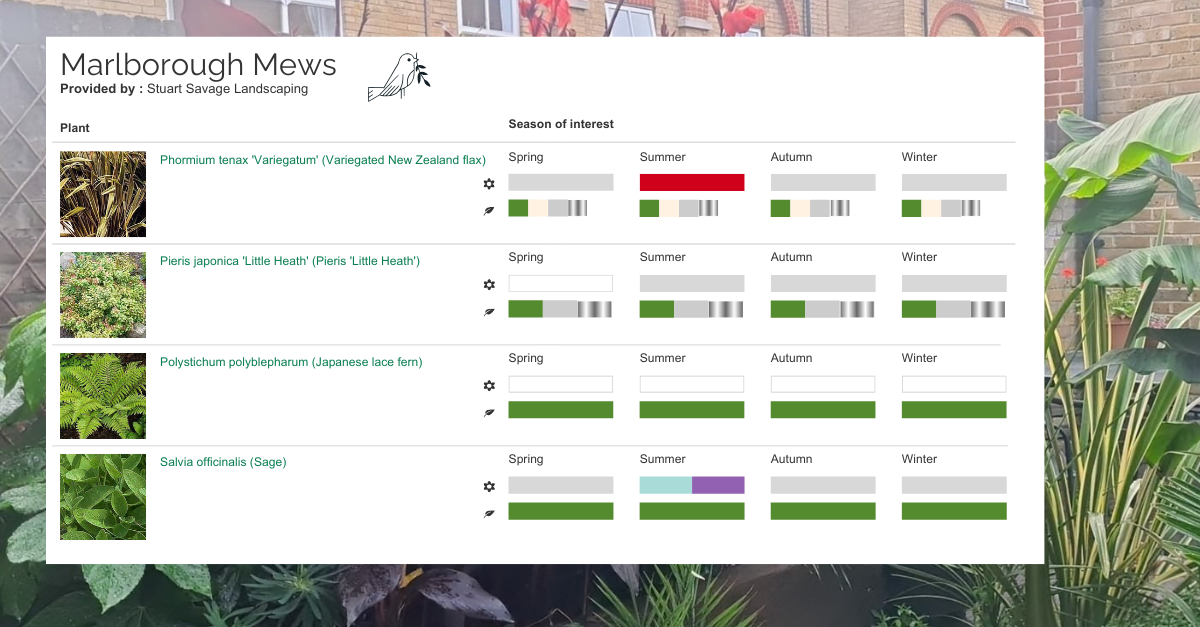 Seasonal colour calendar for a tropical garden design showing year-round plant interest and bark textures.