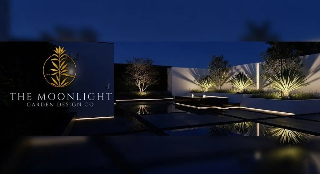 3D garden design visualisation showing how layout, structure and lighting are tested before construction