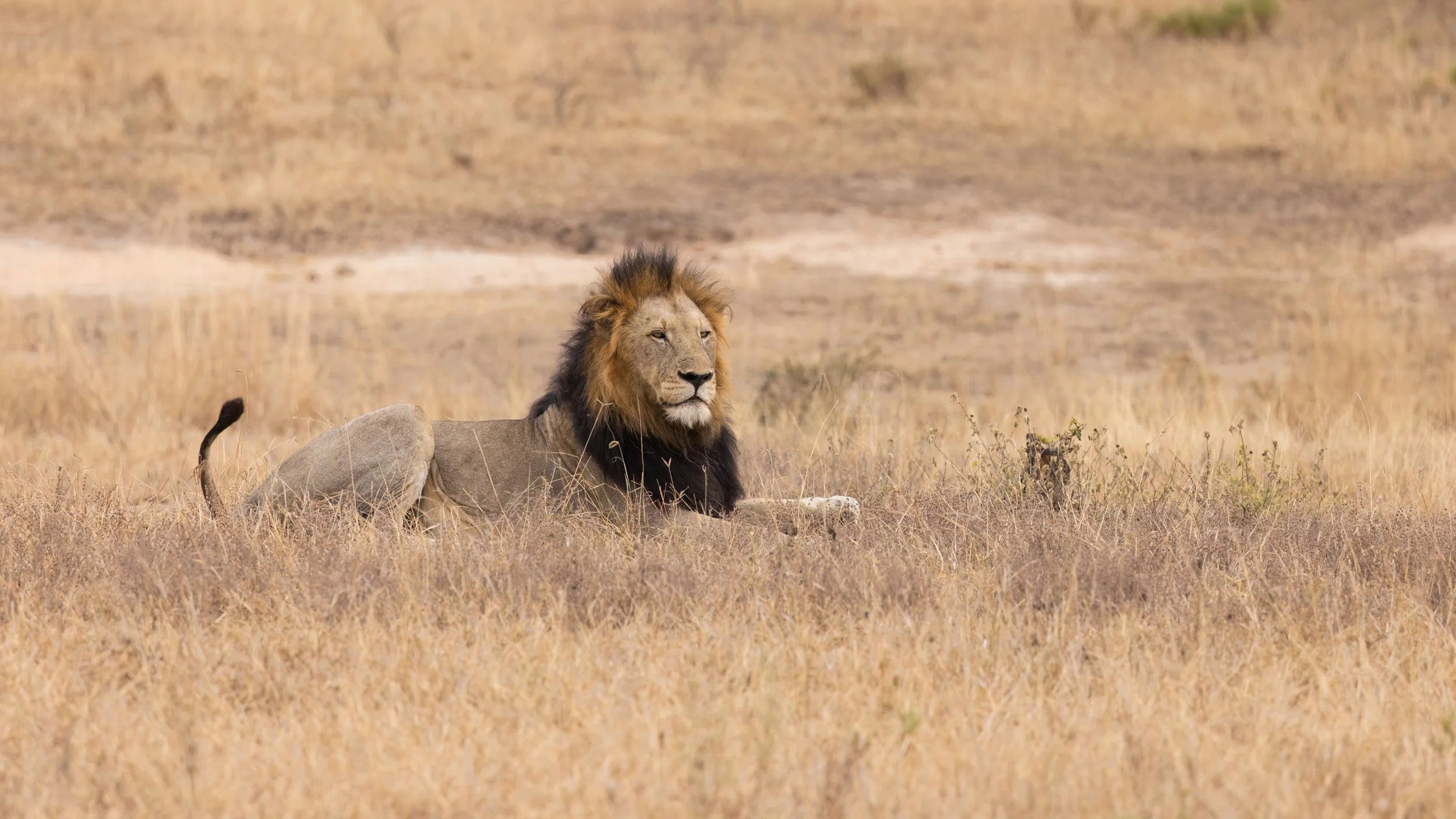 Watch a few of my favourites or scroll on down to explore. Clicking on the logo at the top returns you to home page