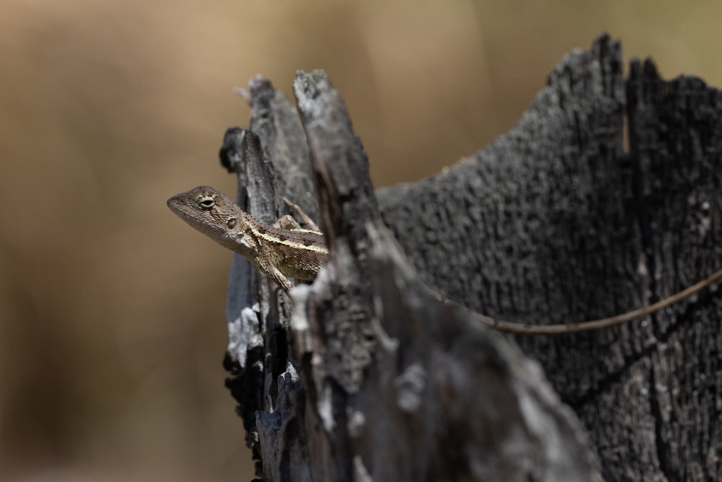 Watch a few of my favourites or scroll on down to explore. Clicking on the logo at the top returns you to home page