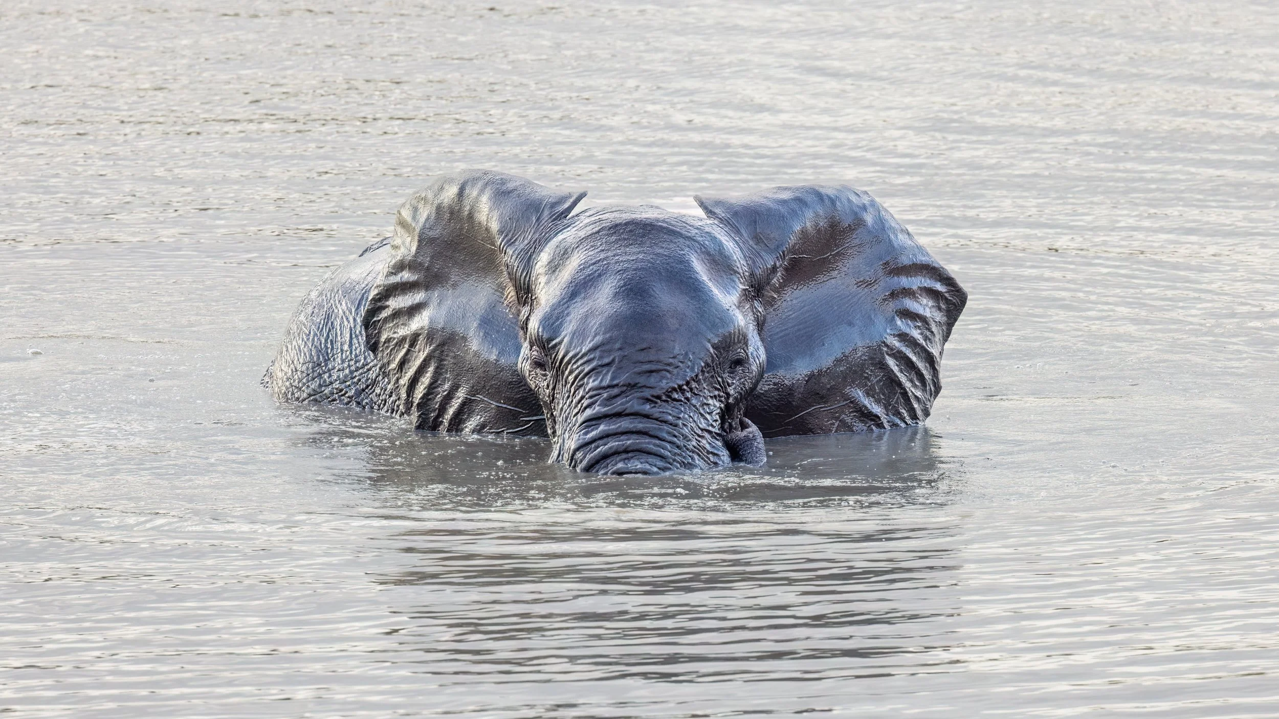 Watch a few of my favourites or scroll on down to explore. Clicking on the logo at the top returns you to home page