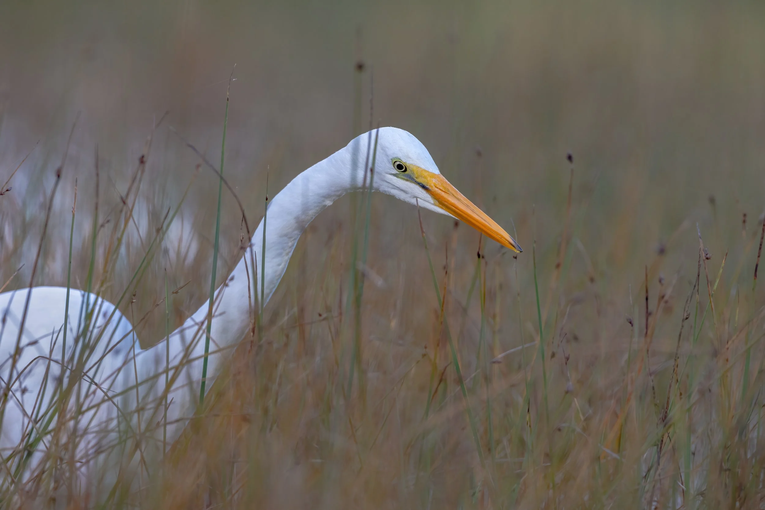 Watch a few of my favourites or scroll on down to explore. Clicking on the logo at the top returns you to home page