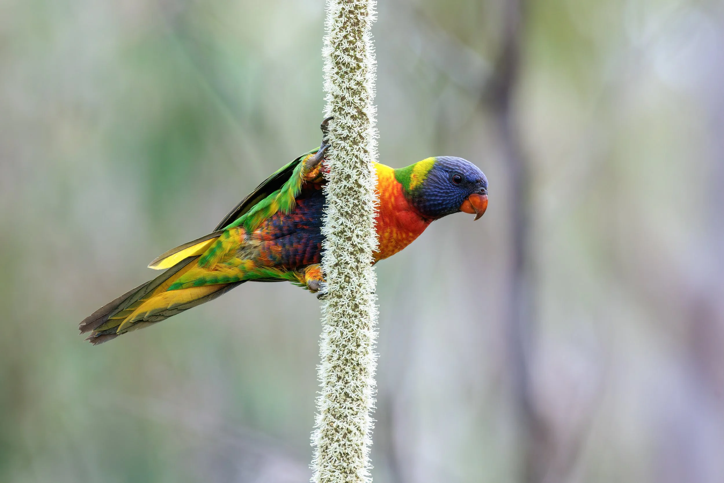 Watch a few of my favourites or scroll on down to explore. Clicking on the logo at the top returns you to home page