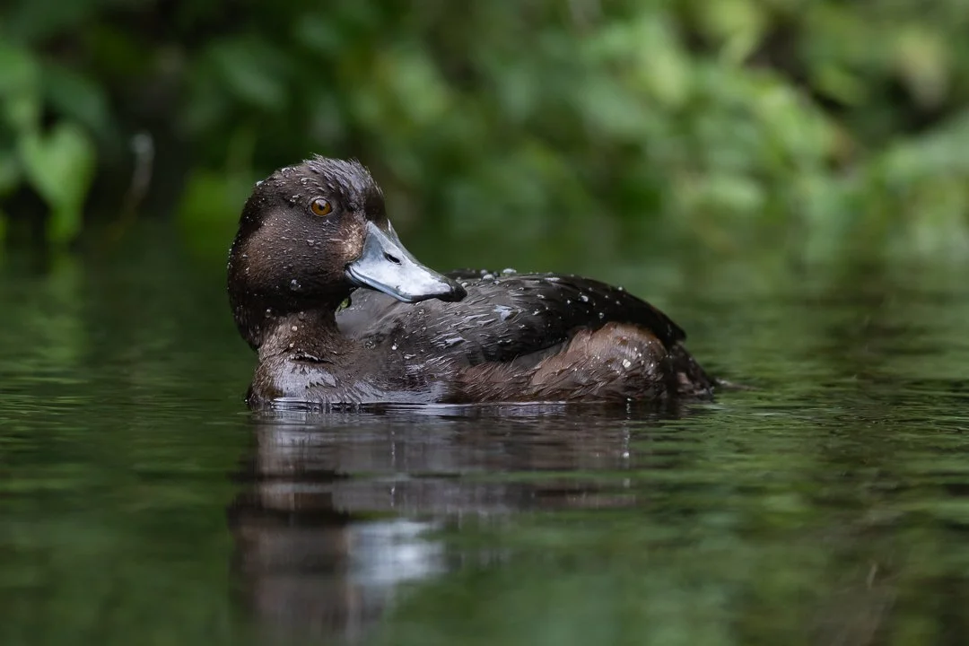 Watch a few of my favourites or scroll on down to explore. Clicking on the logo at the top returns you to home page