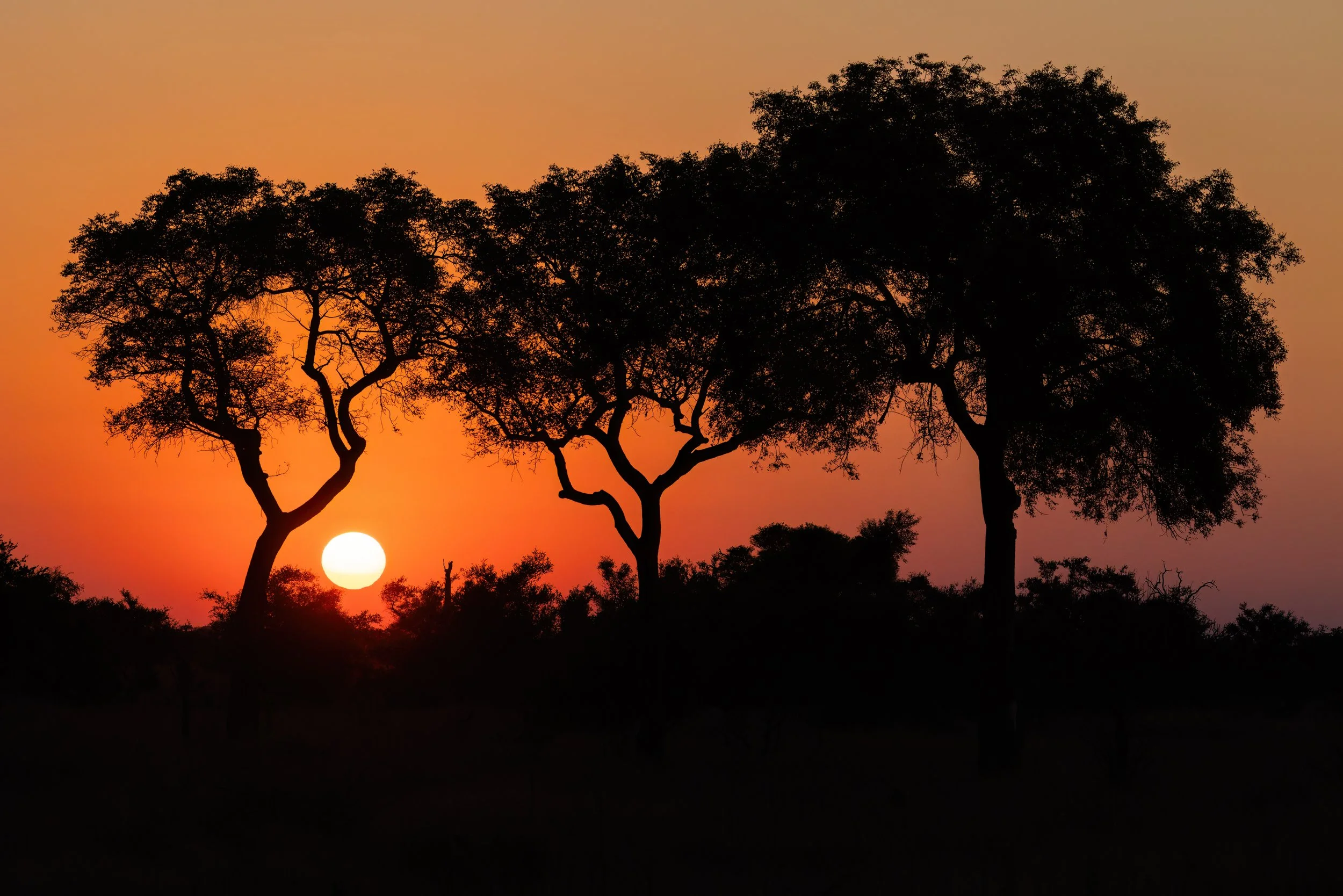 Kruger - Sunset IV.jpg