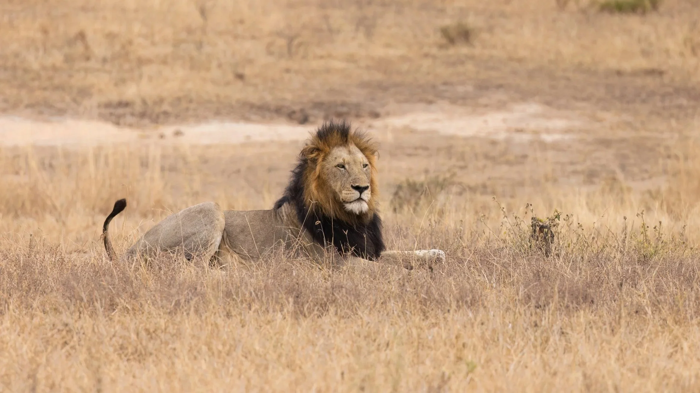 Kruger National Park