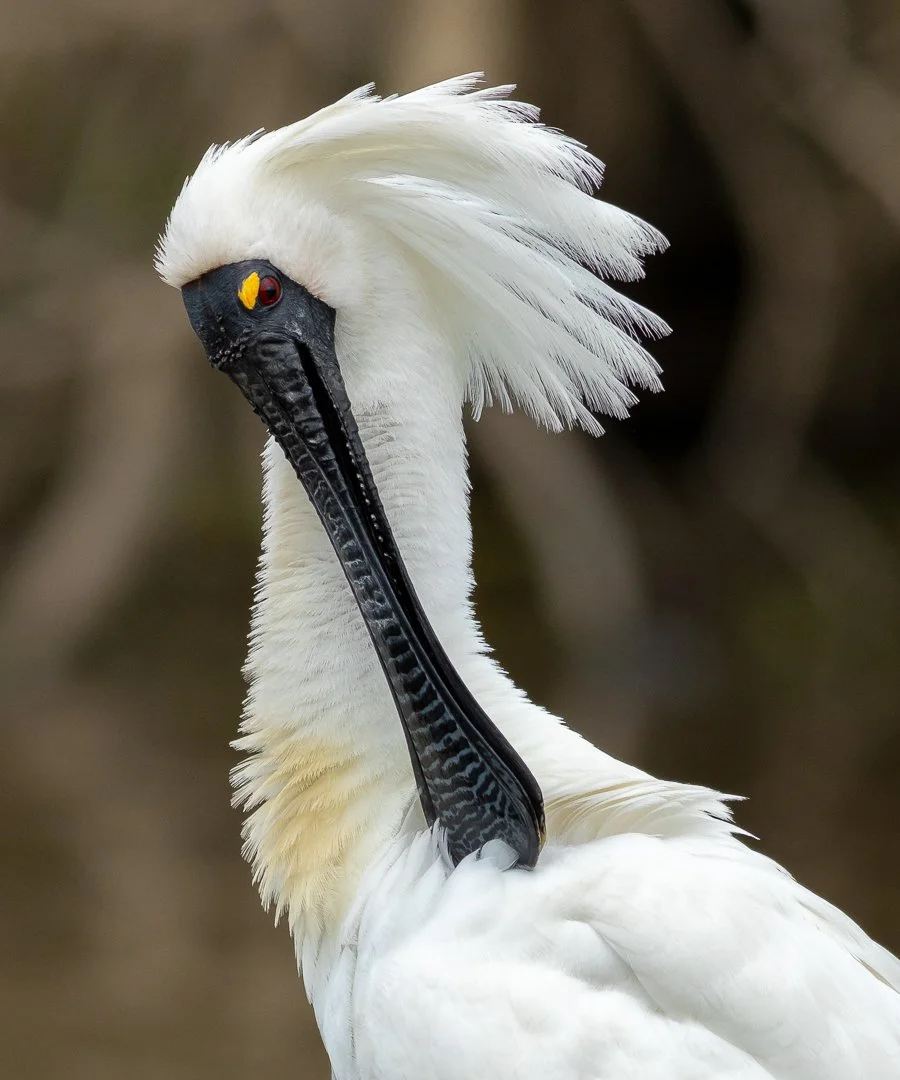 Watch a few of my favourites or scroll on down to explore. Clicking on the logo at the top returns you to home page