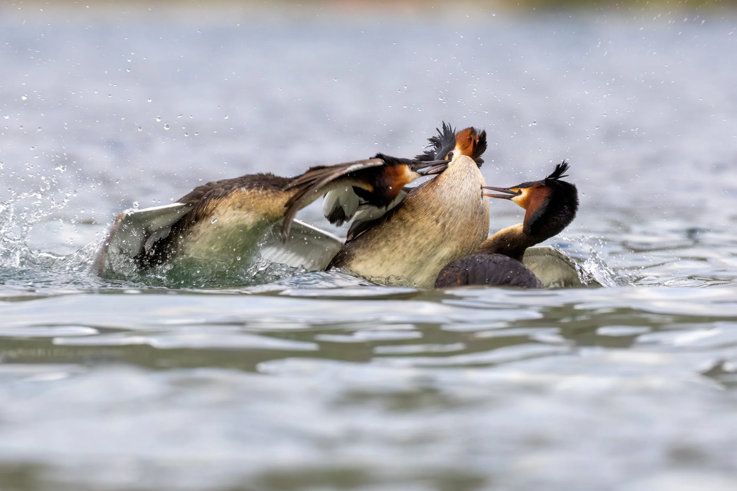 Watch a few of my favourites or scroll on down to explore. Clicking on the logo at the top returns you to home page