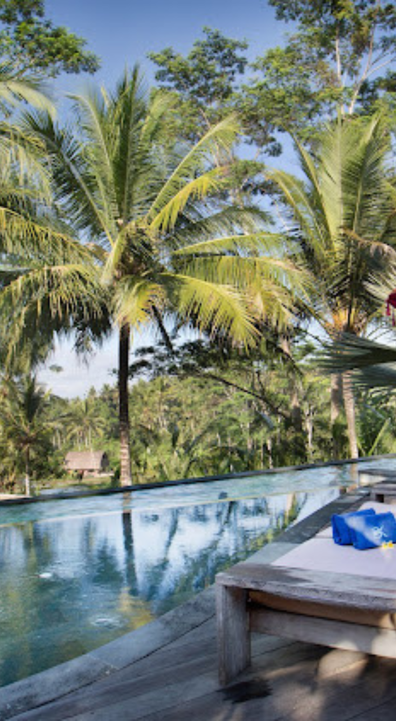 Tropical scene with palm trees over a swimming pool and a wooden deck with an outdoor lounge chair.