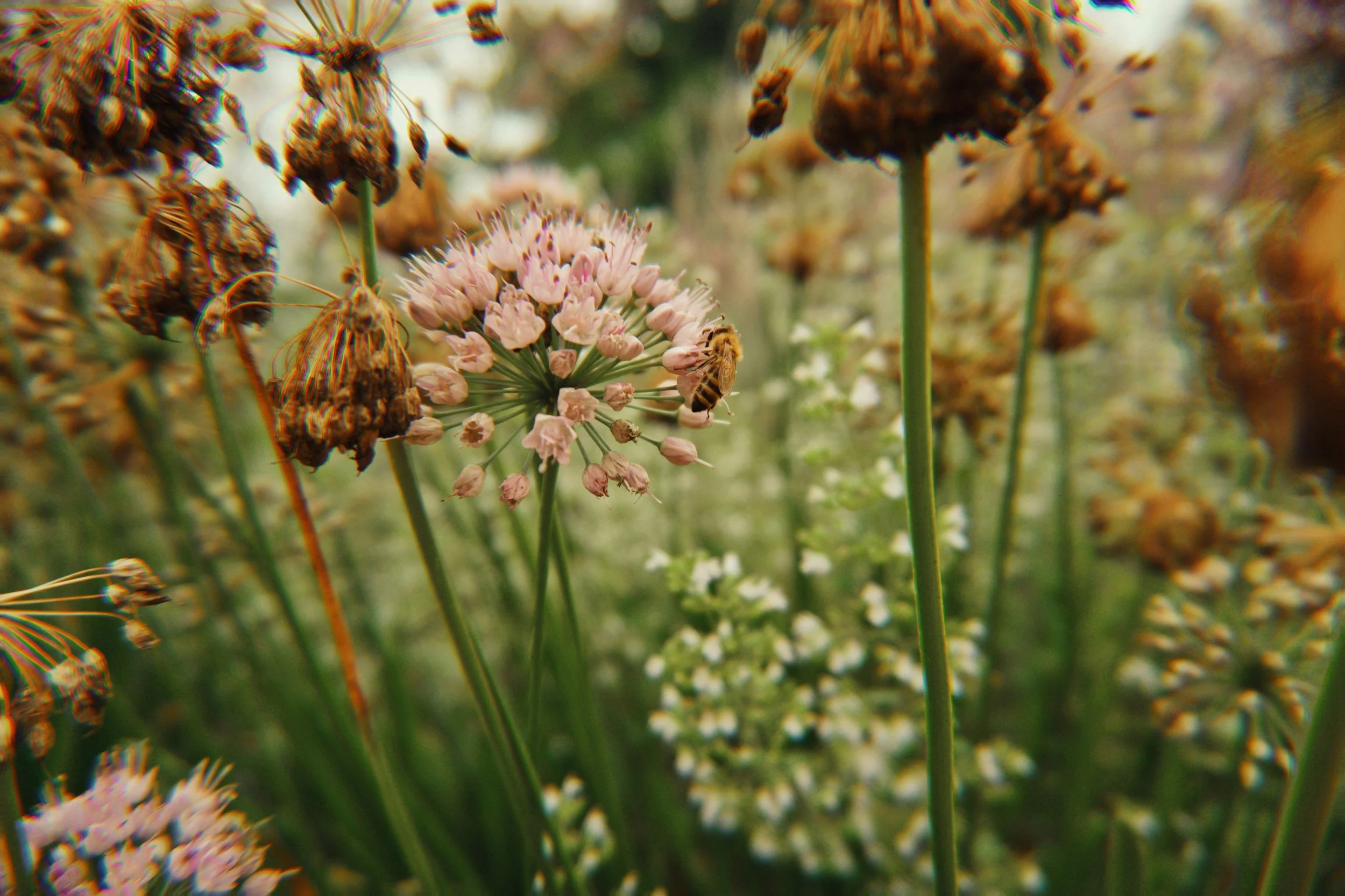 unsplash-image-qm4SFApIgEg.jpg