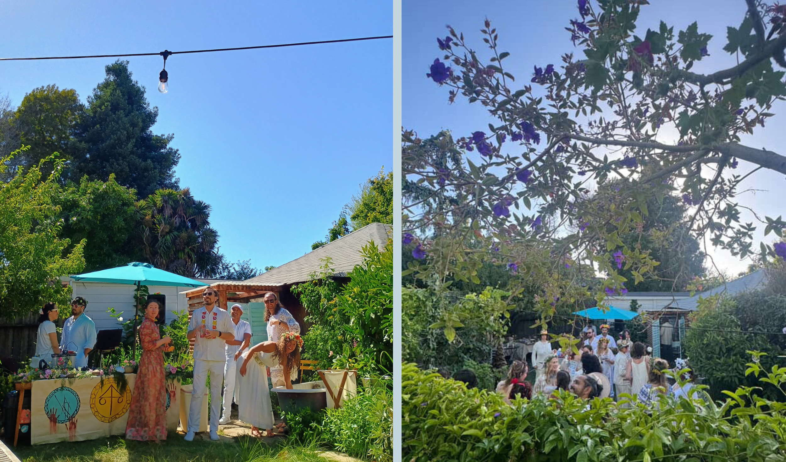 Untitled design (4).png