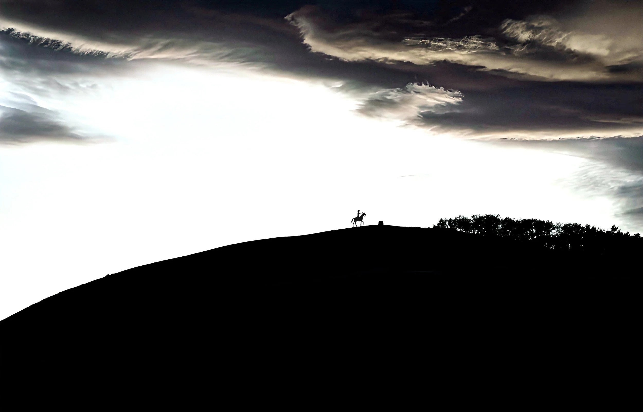 Freedom of the wilderness