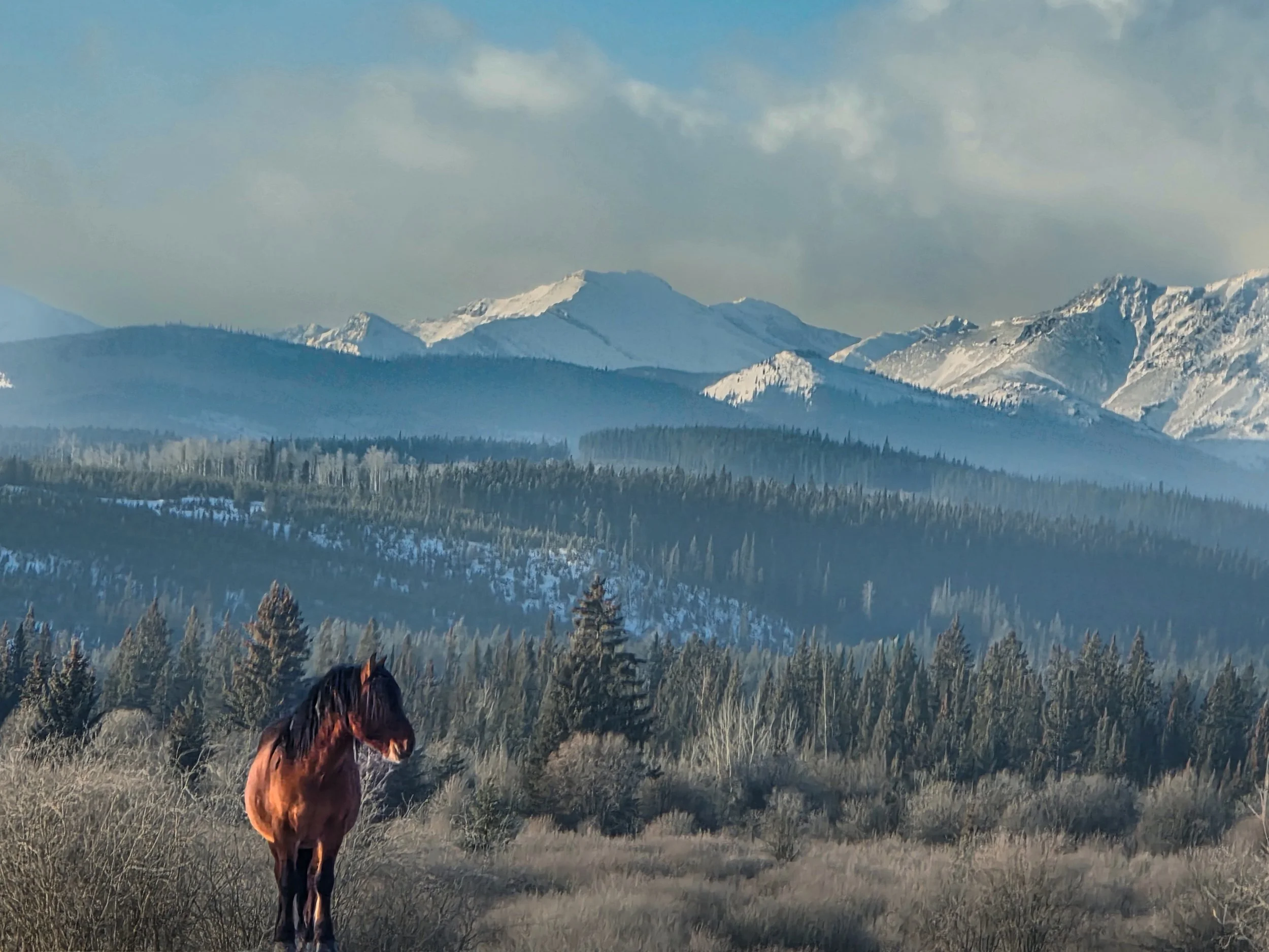 The Mountains  keeper
