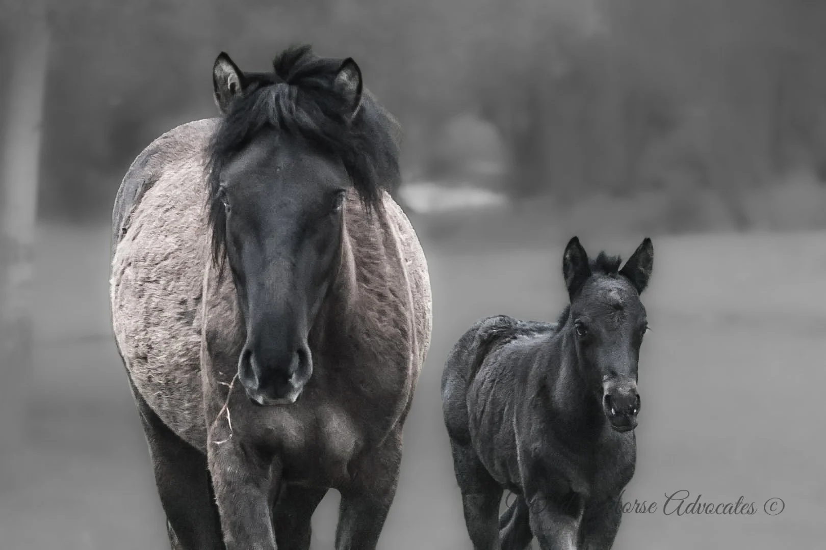 1000095901.jpg