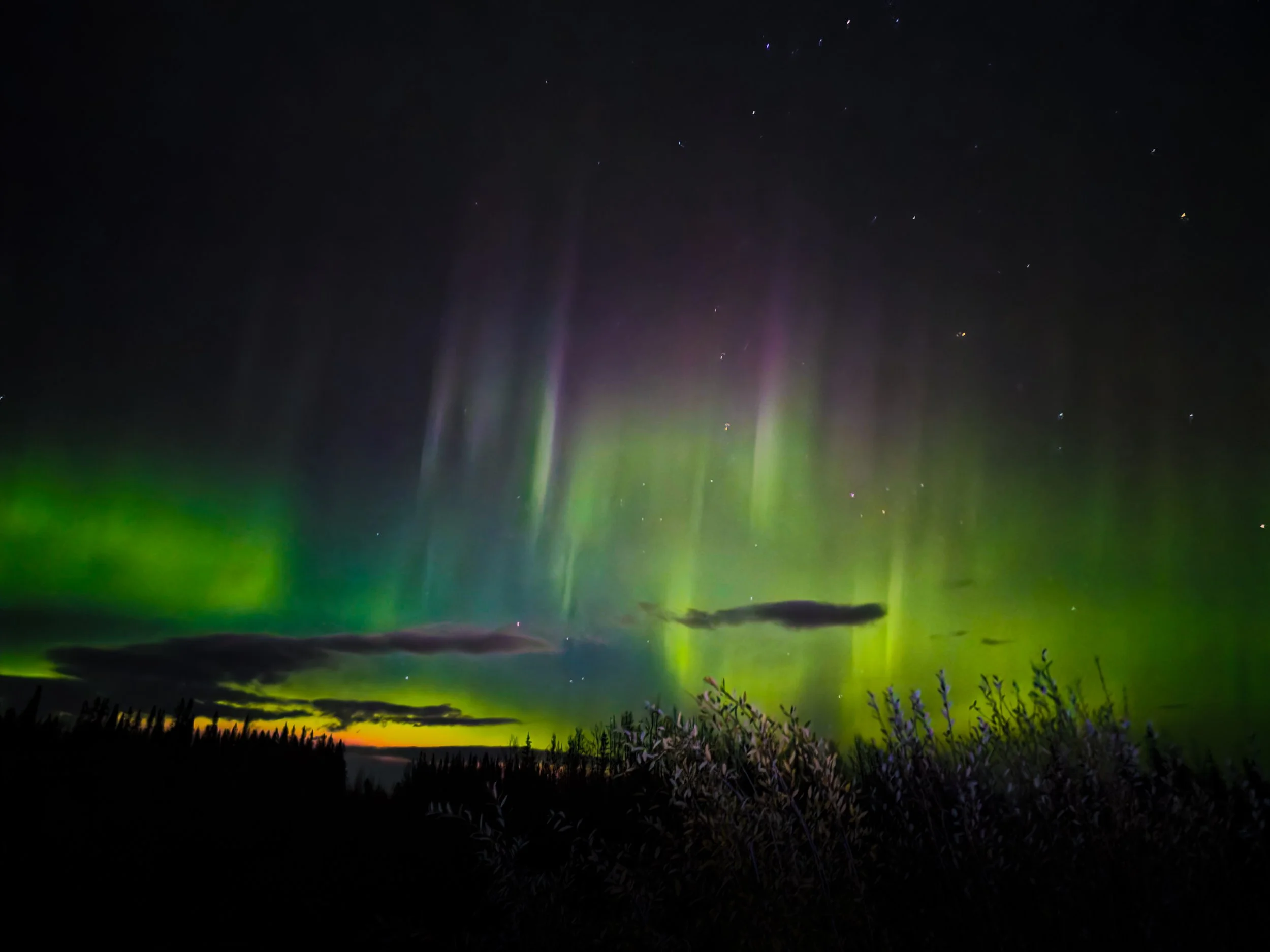 Astro | Nightscape | Gallery