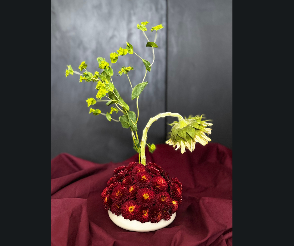 A flower arrangement with red chrysanthemums at the base, a green sunflower with drooping petals, and a green leafy plant with small yellow flowers in a white container on a burgundy cloth with a dark background.