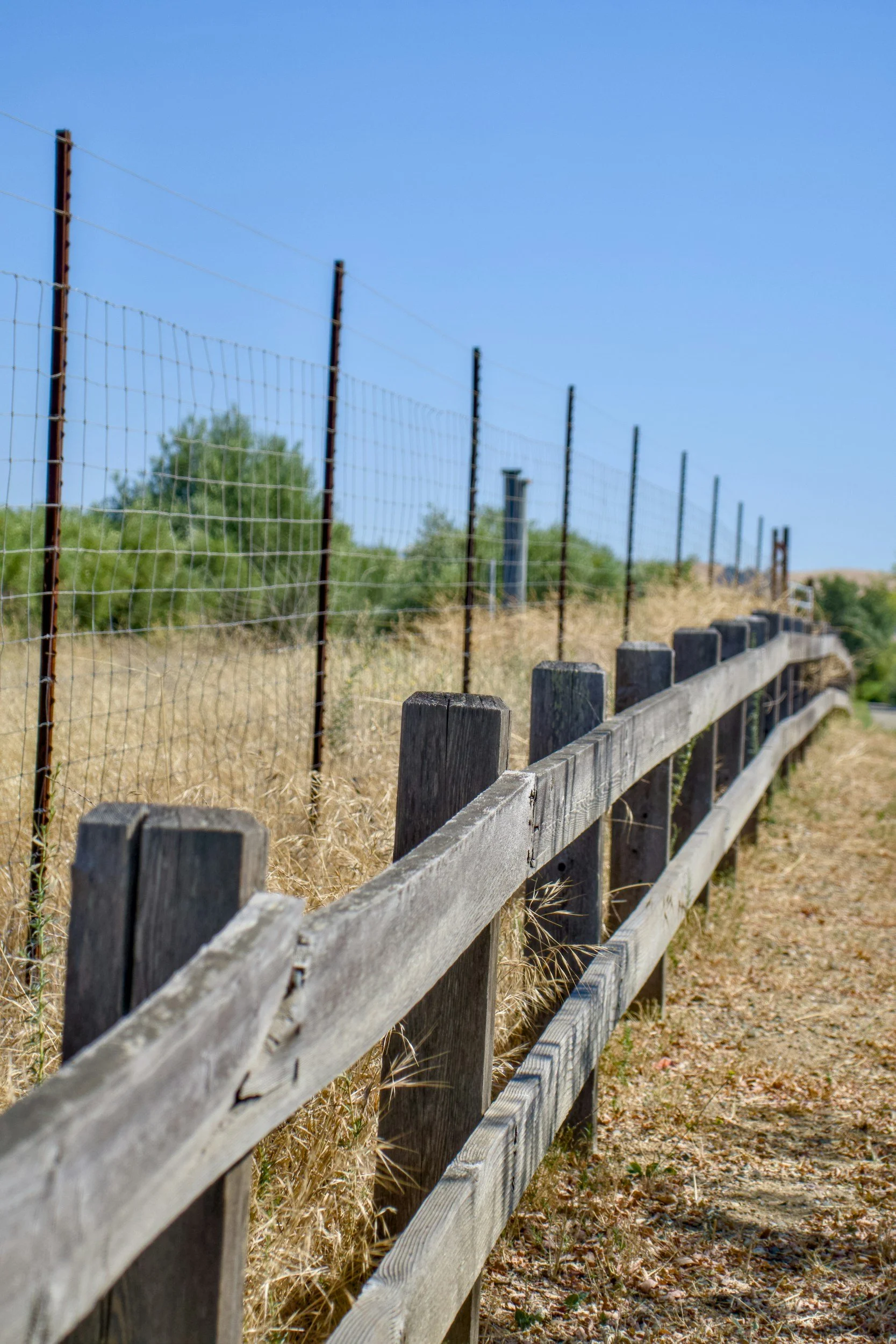 Wooden fence with barbed wire along a dry grassy area under a clear blue sky.