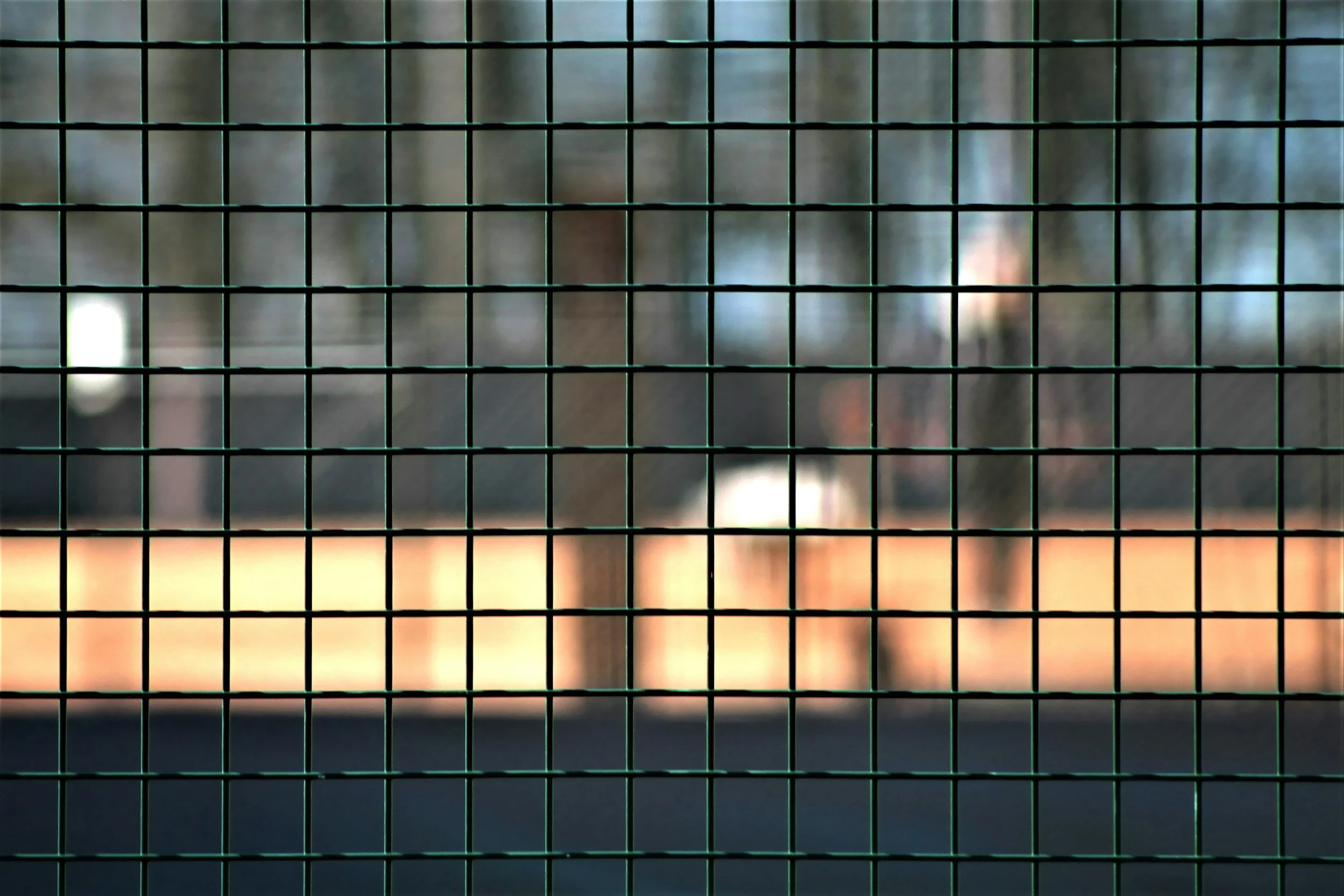 Blurred outdoor scene seen through a green wire fence grid, including trees and a field.