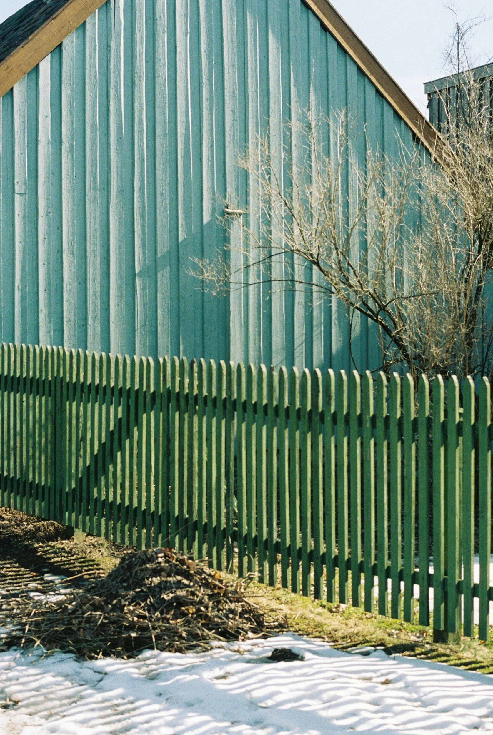 A green picket fence is in front of a large blue wooden building with a sloped roof. There is a small, leafless tree growing beside the building, and patches of snow and a pile of small branches are on the ground in front of the fence.