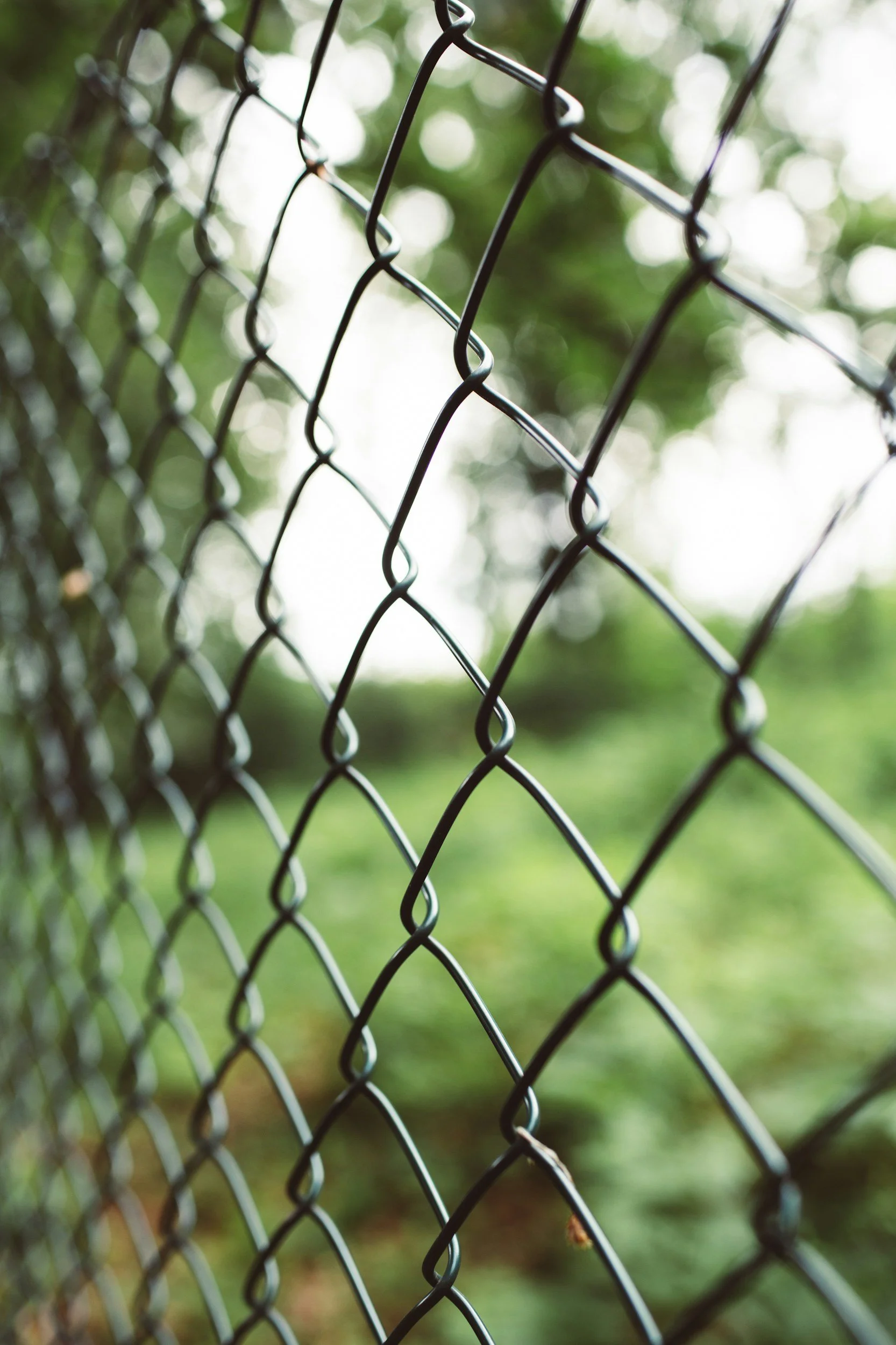 Close-up of a black metal chain-link fence with a blurred green and white background.