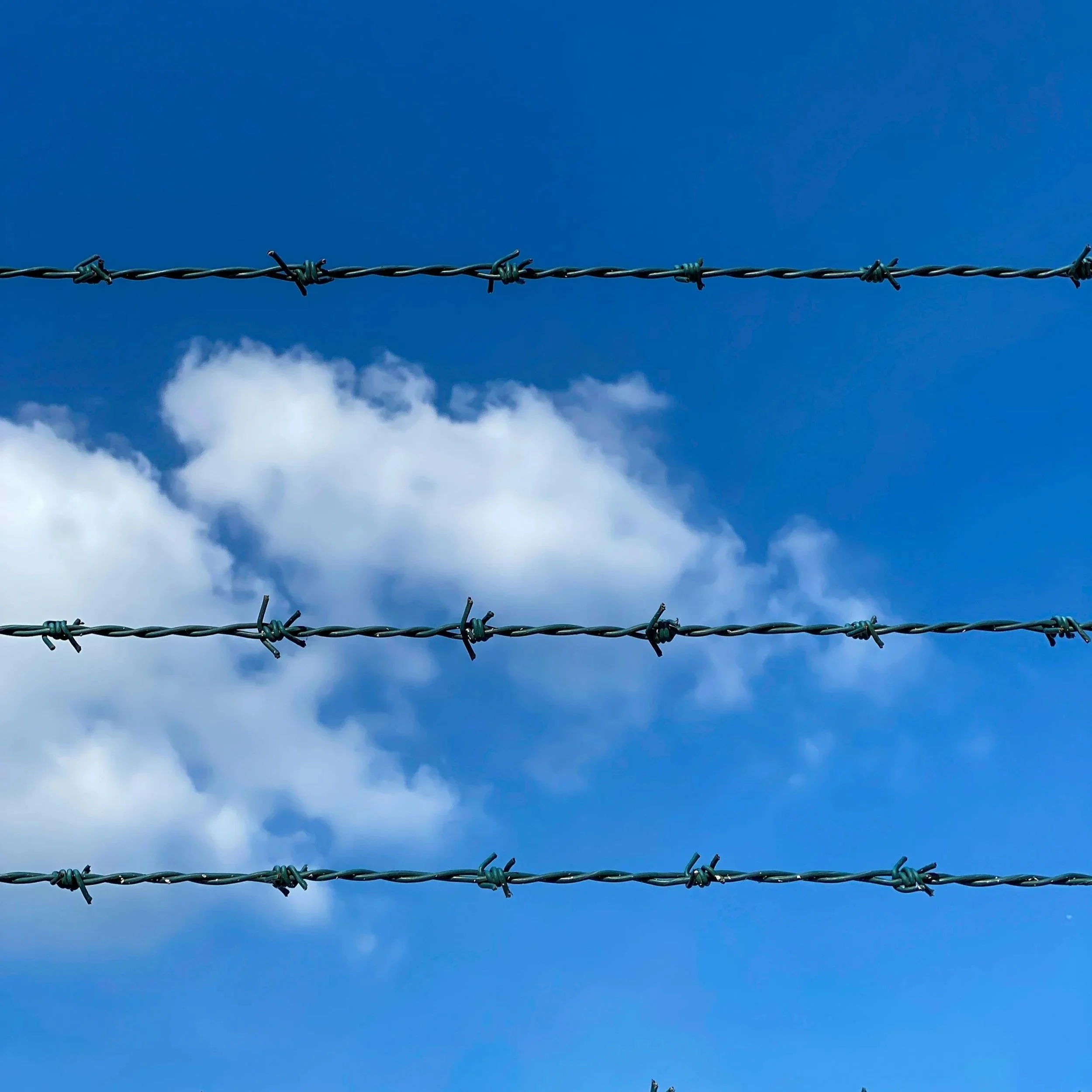 Climate-Tested Barbed Wire: Seasonal Performance Trends in Your Area
