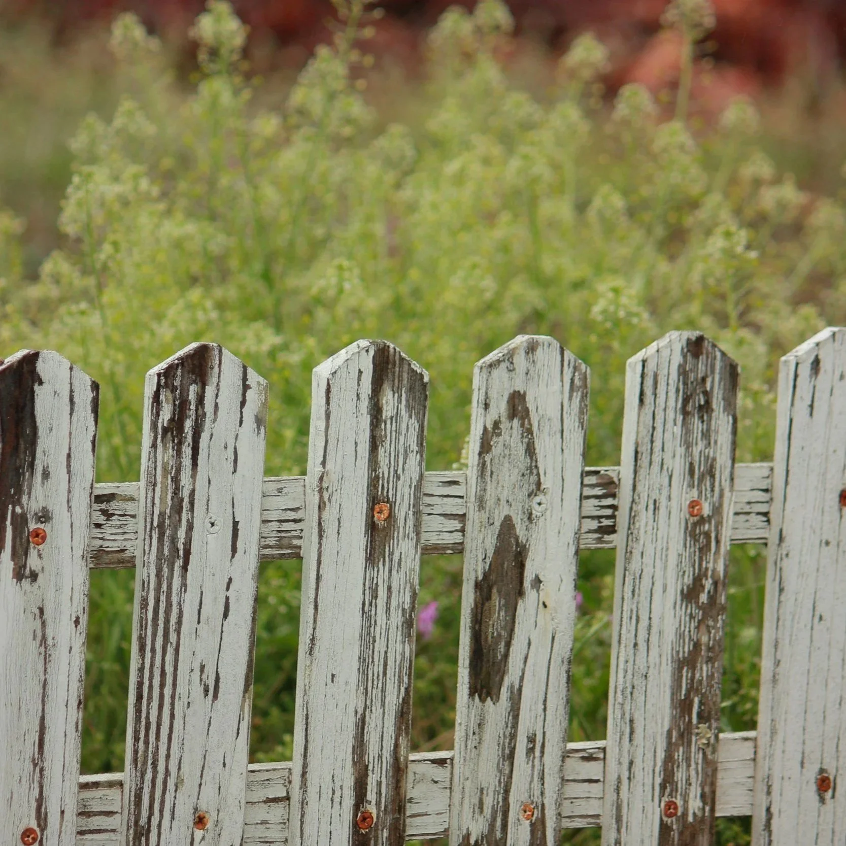 Old fence with chipped paint and worn texture, representing damage conditions that require professional vinyl fence repair and panel replacement solutions.