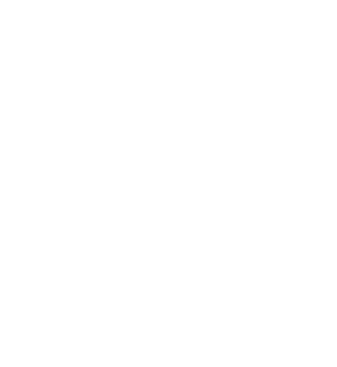 AR FENCE
