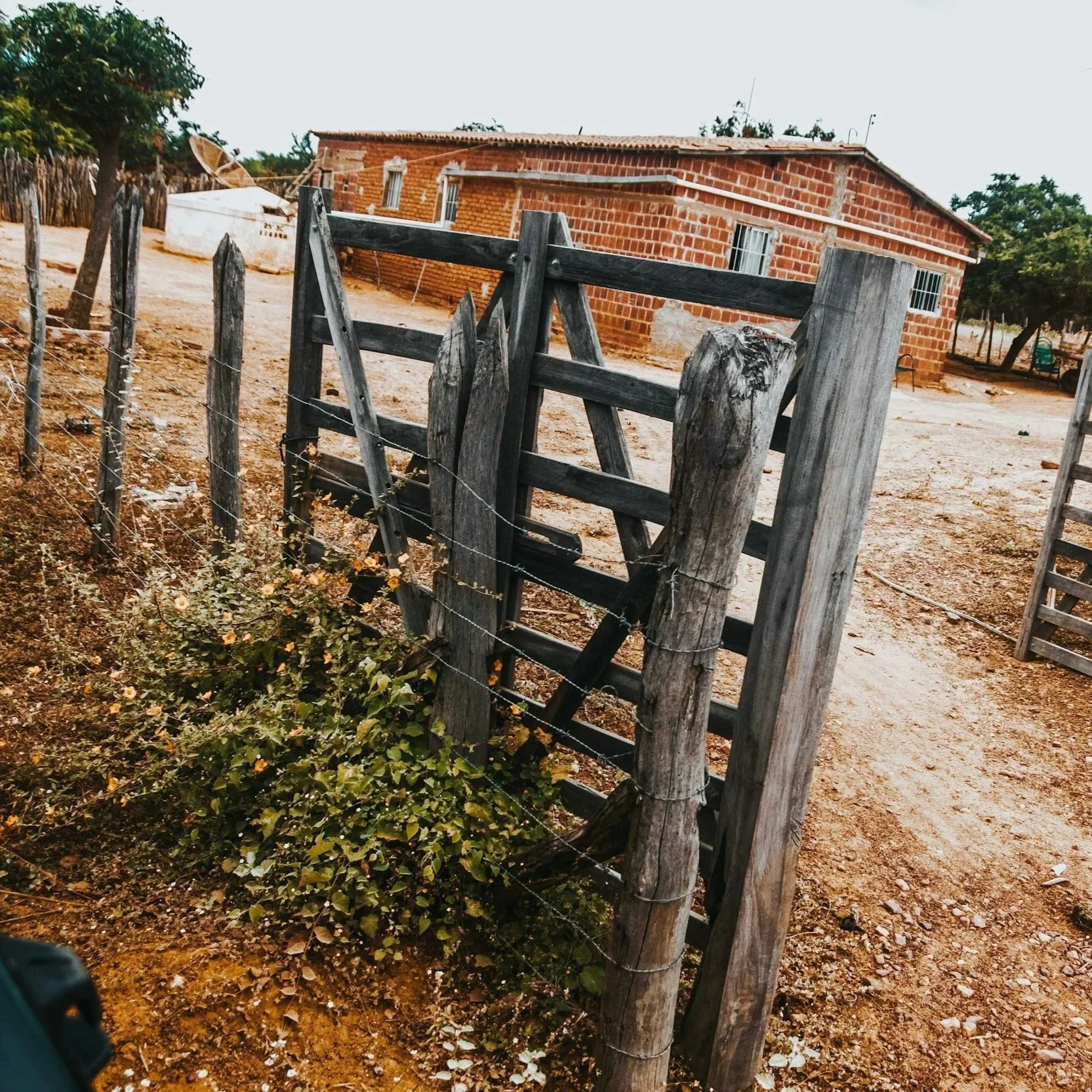 How Long Each Fence Type Actually Lasts in NC’s Climate (Real Numbers)