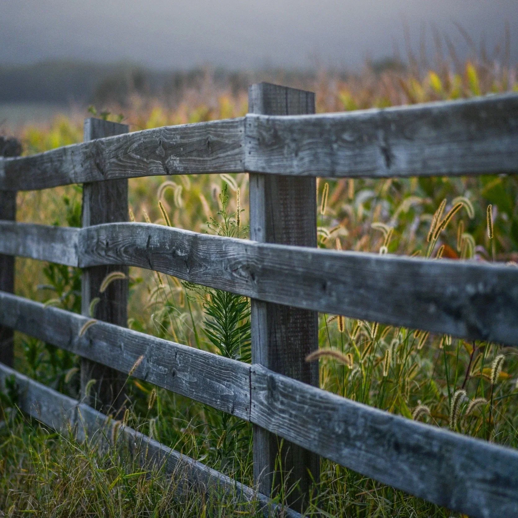 Old wooden fence with faded boards and visible deterioration, representing signs of damage that indicate need for professional fence replacement services.