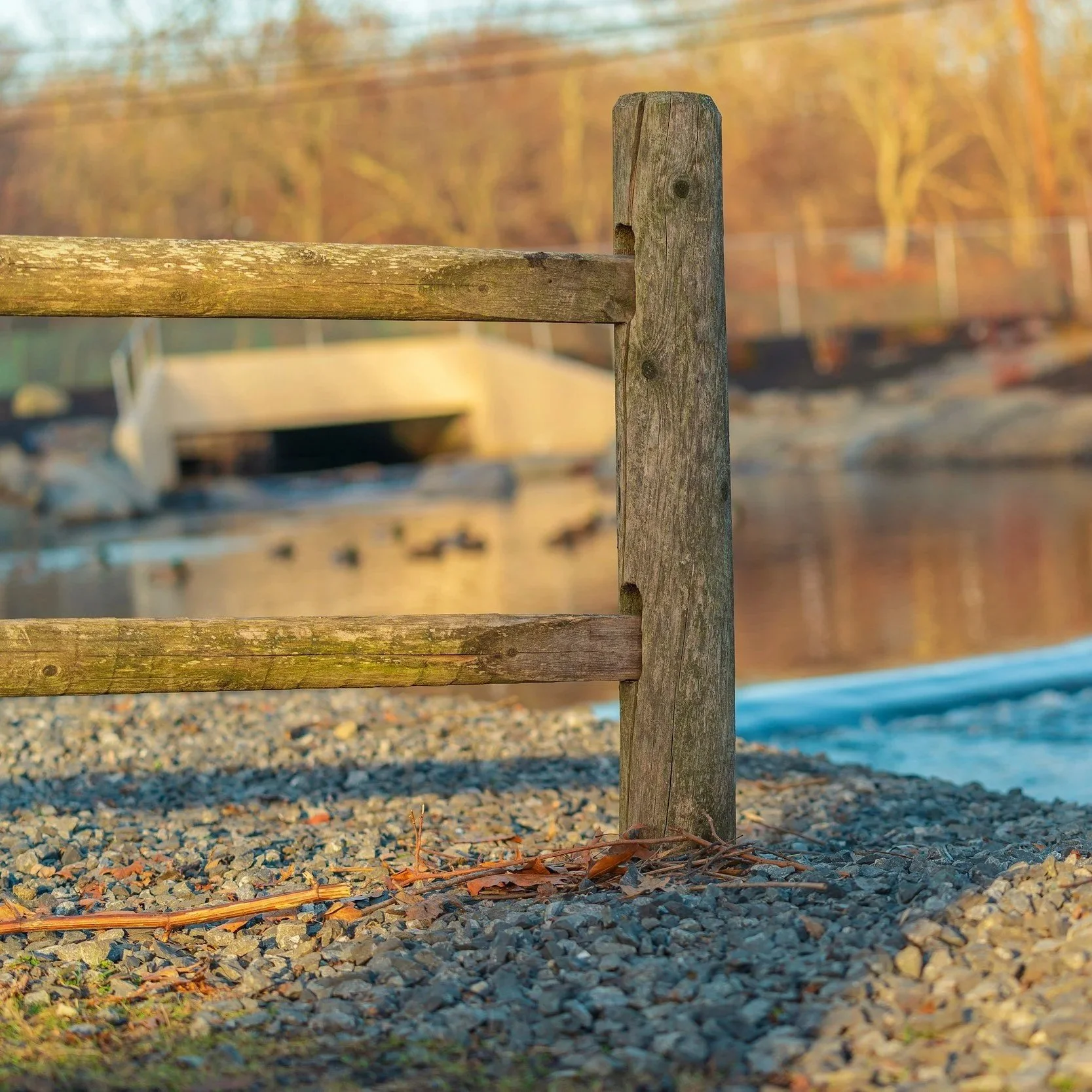 Wooden boundary fence near residential pathway representing Fayetteville fence height restrictions, legal installation guidelines, and neighborhood fencing requirements.