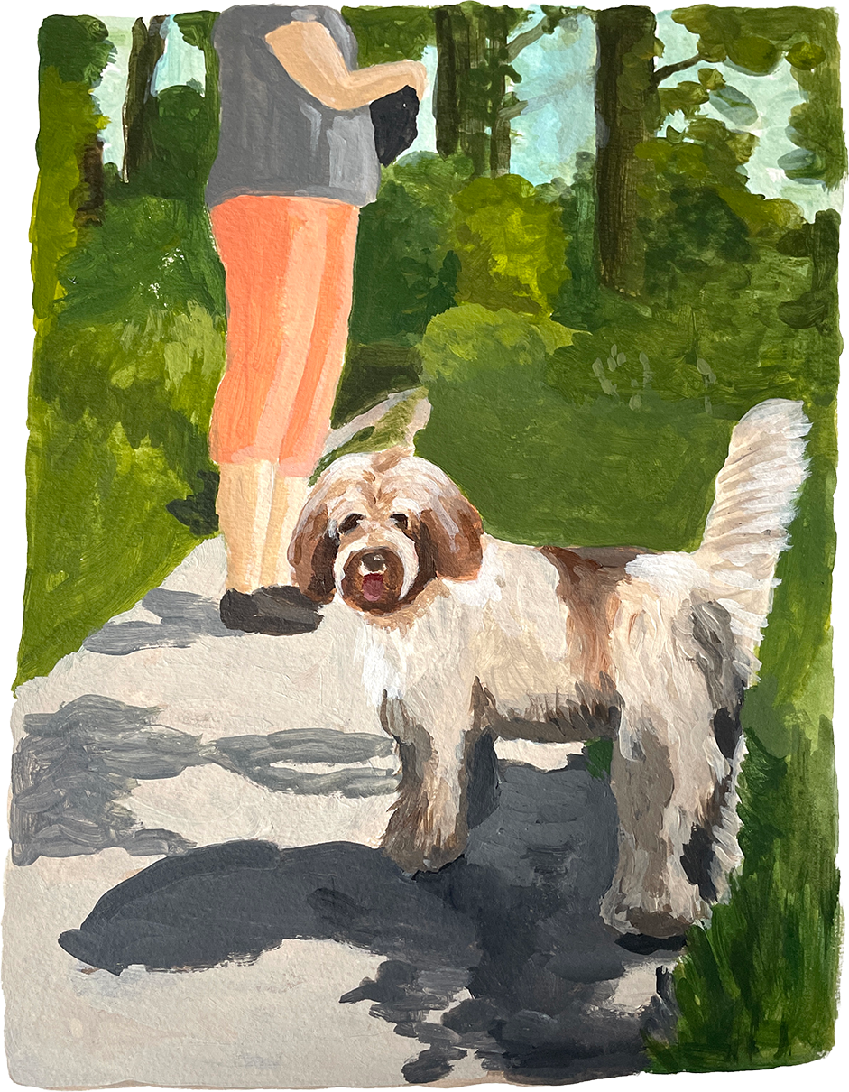 hond in bos.png