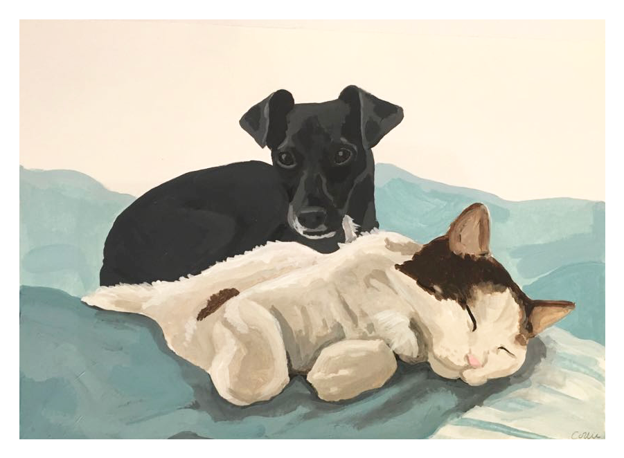 hond en kat.png