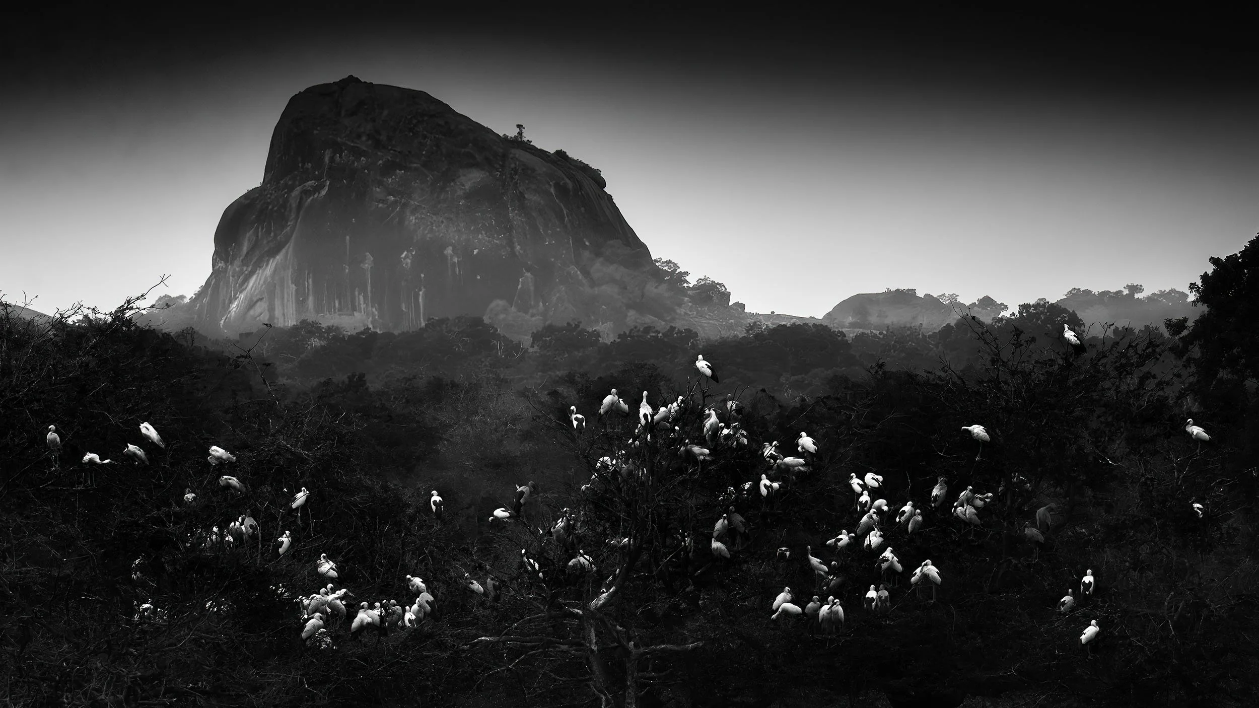 _monoDSC3422 (1) copy.jpg