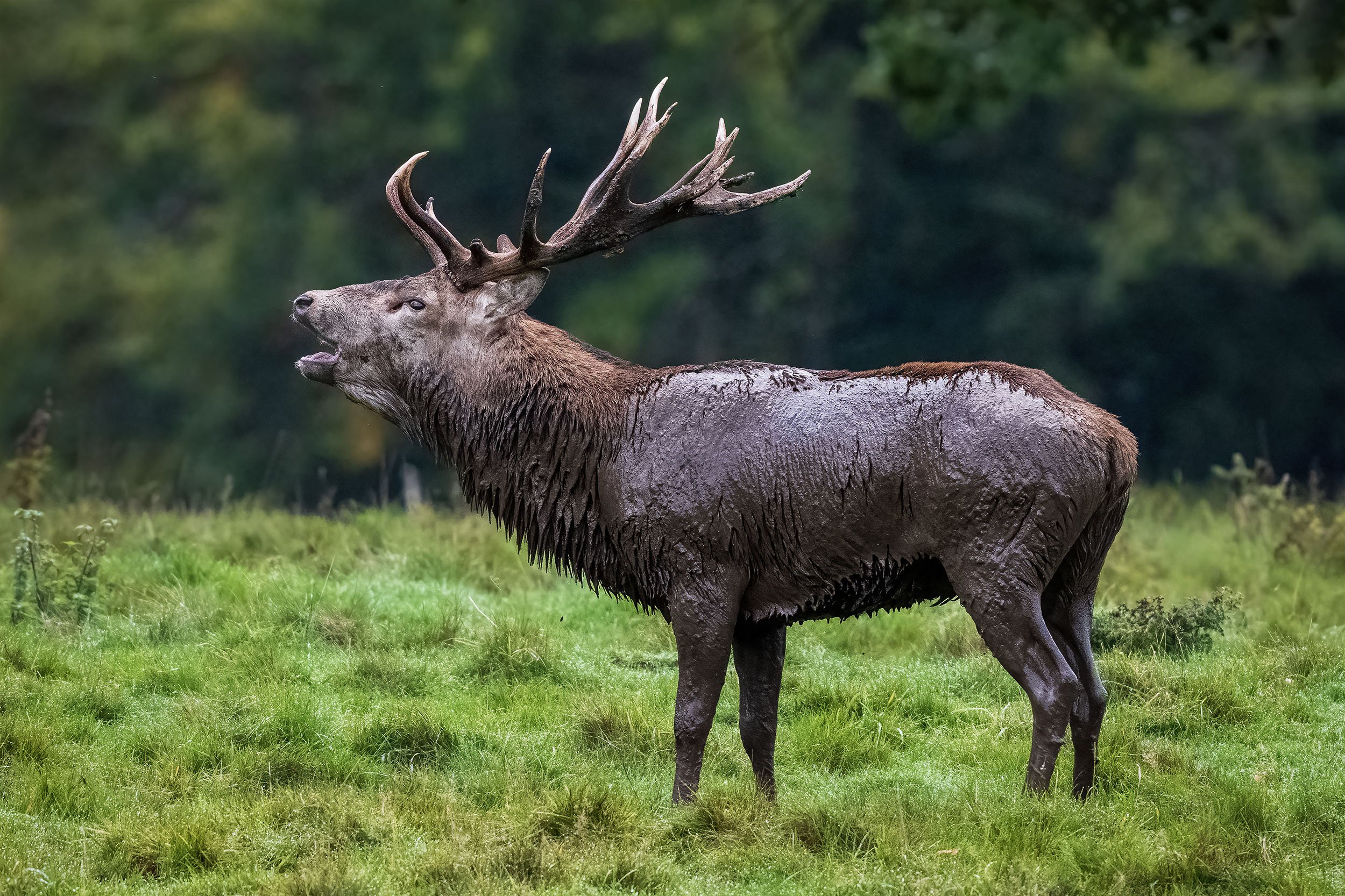 _DSC1818edit copy.jpg