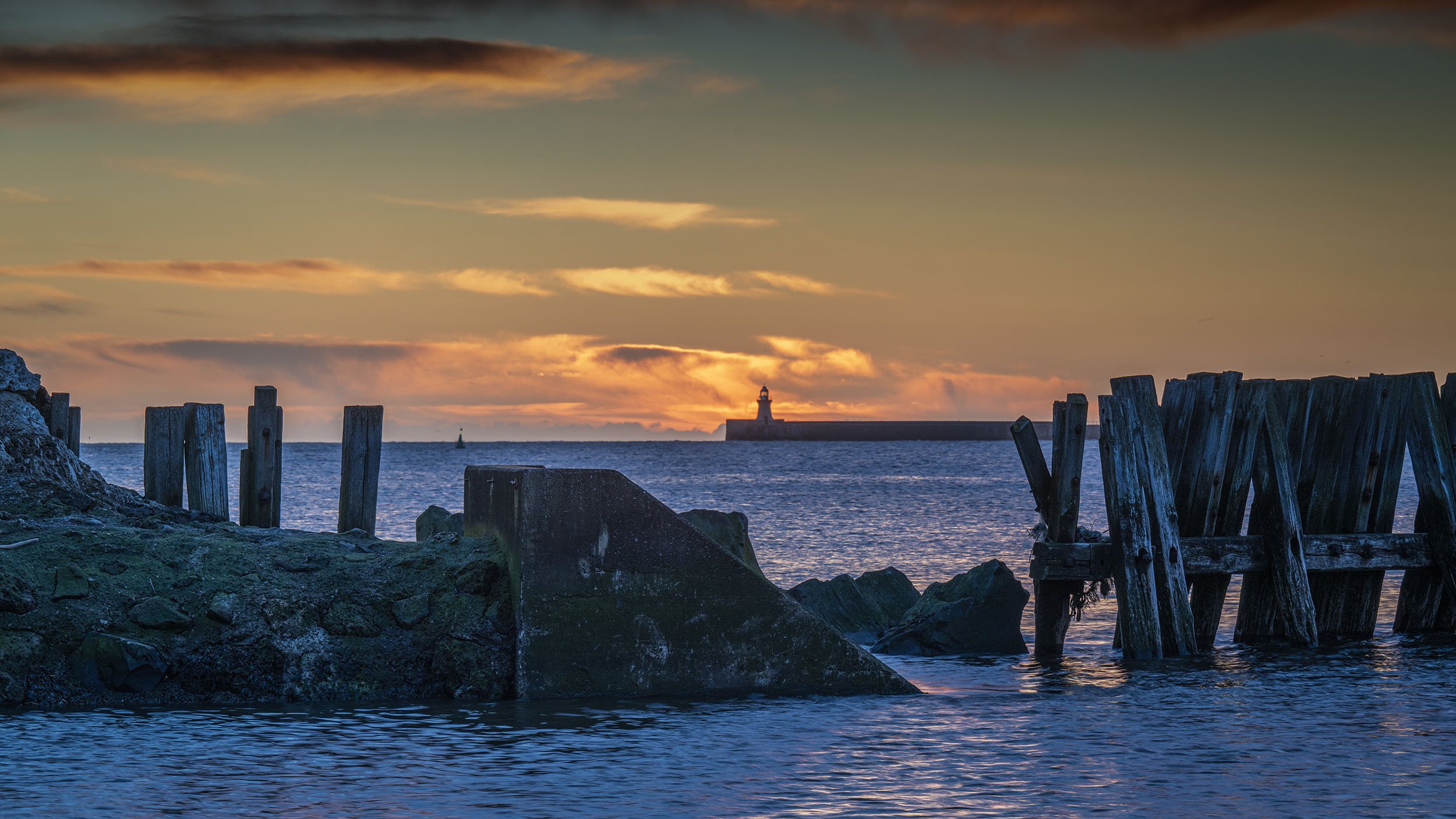 DSC_1227edit copy.jpg