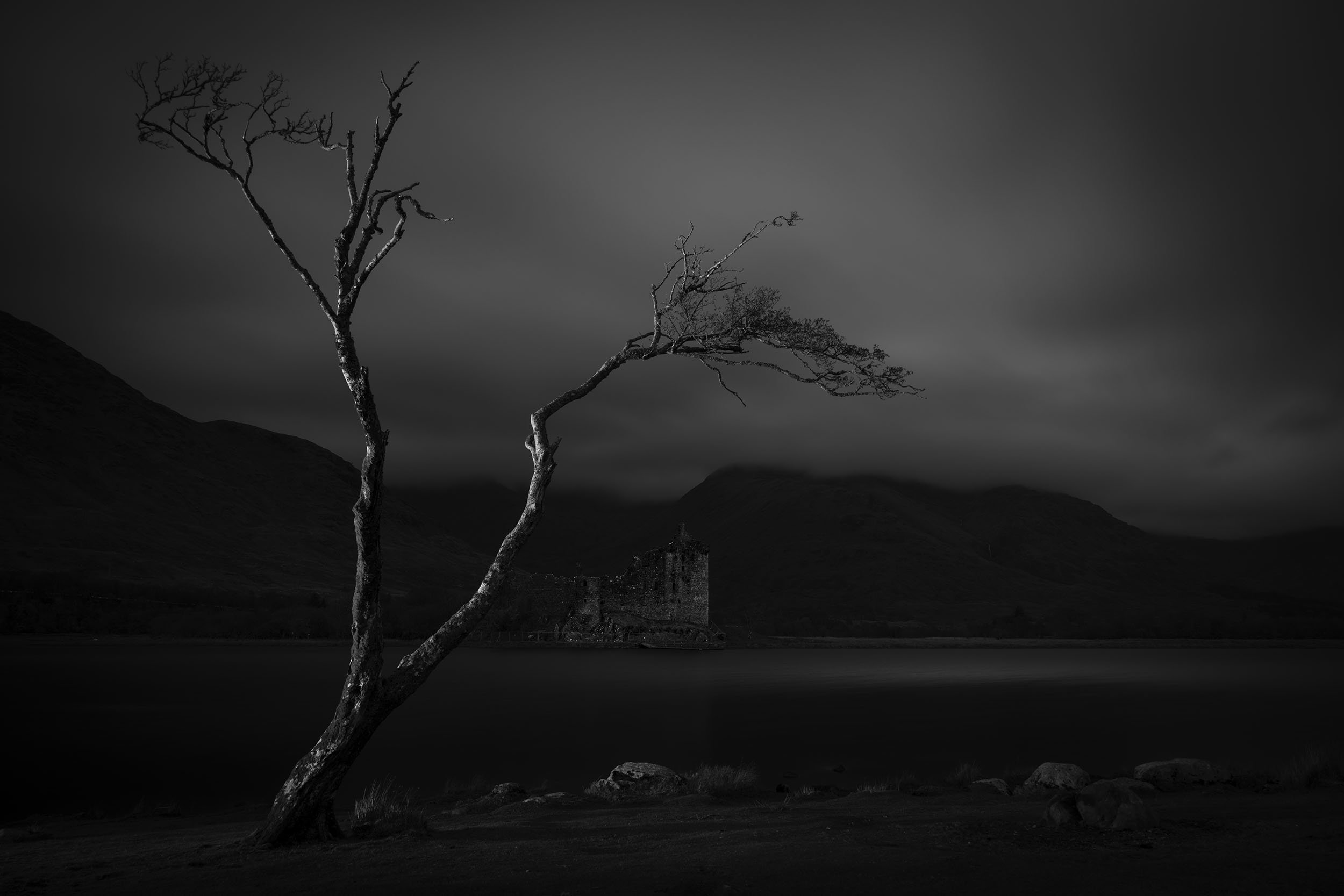 _DSC3805mono copy.jpg