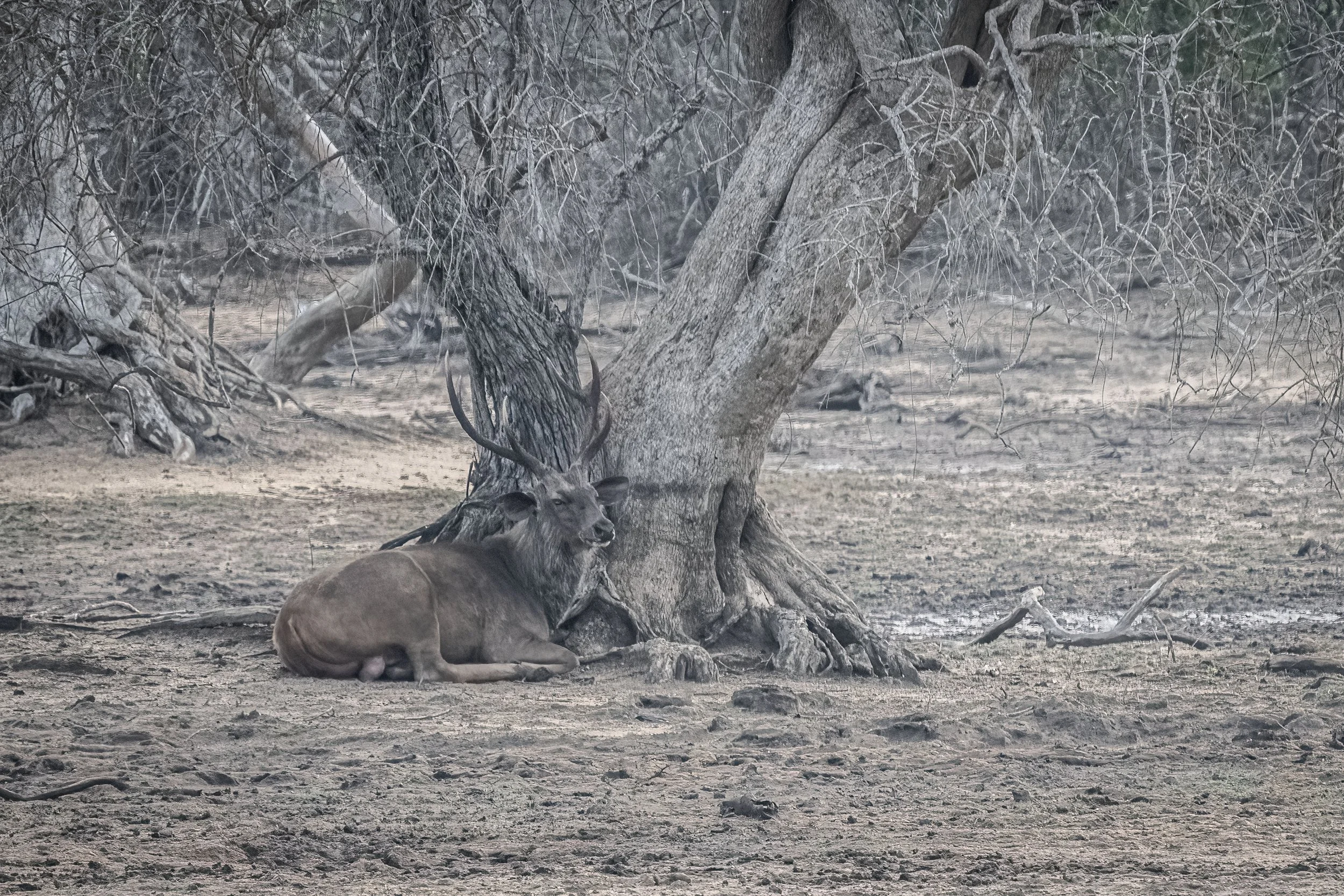 _DSC3122edit copy.jpg