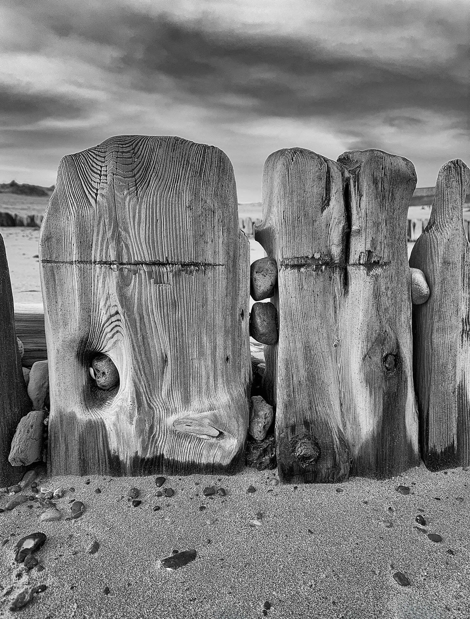 accident or design.jpg