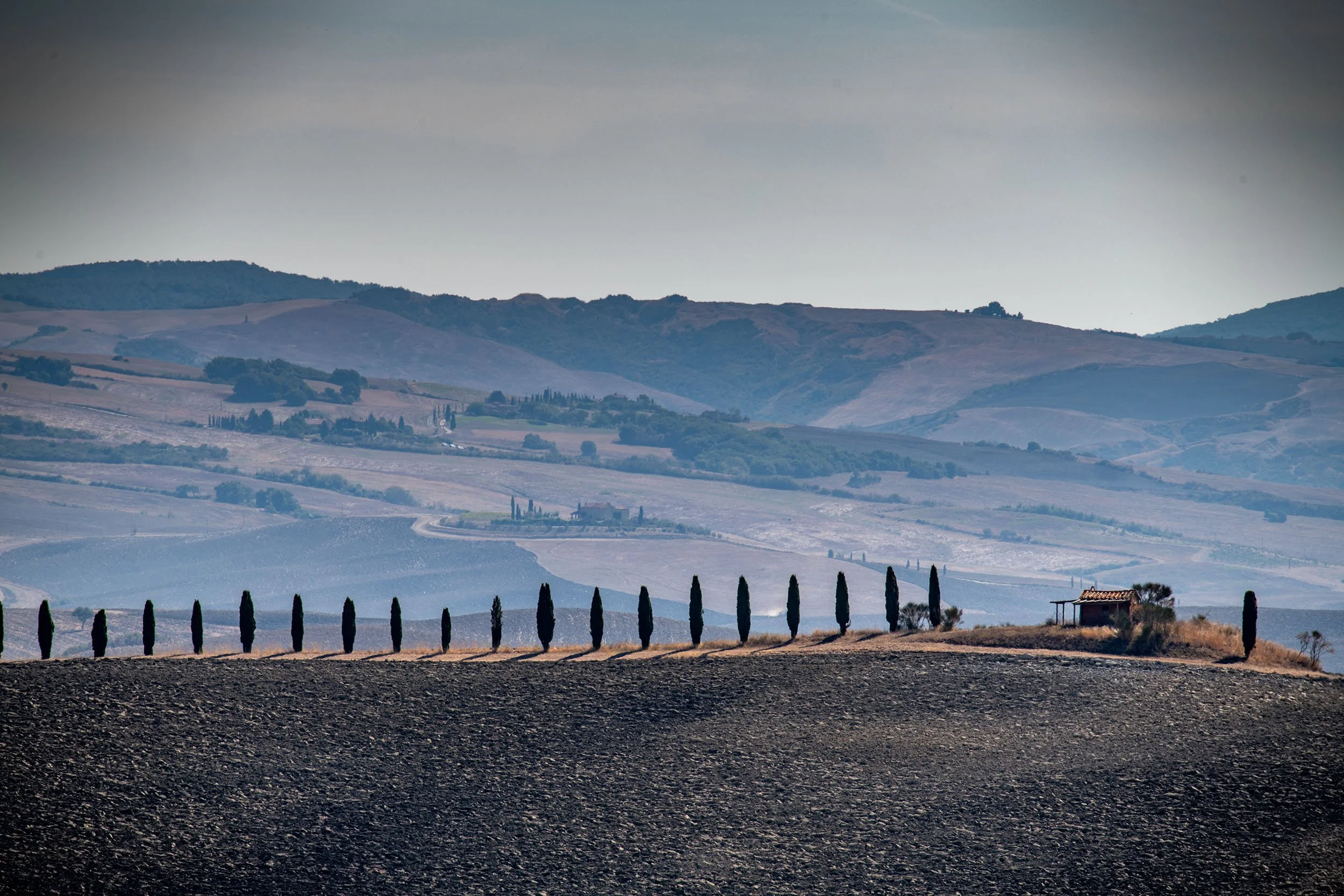 DSC_1646-Edit copy.jpg