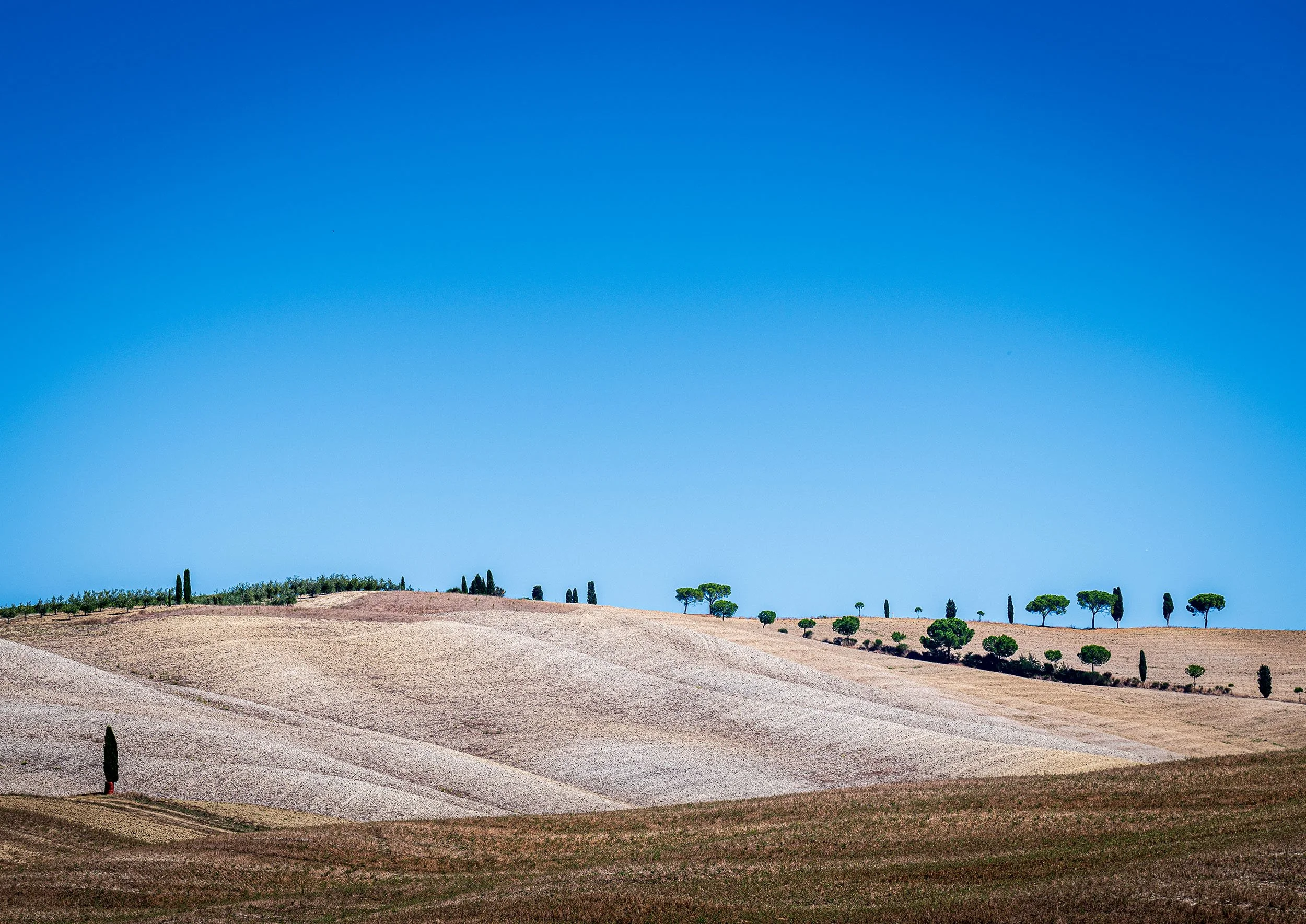 DSC_1359-Edit copy.jpg