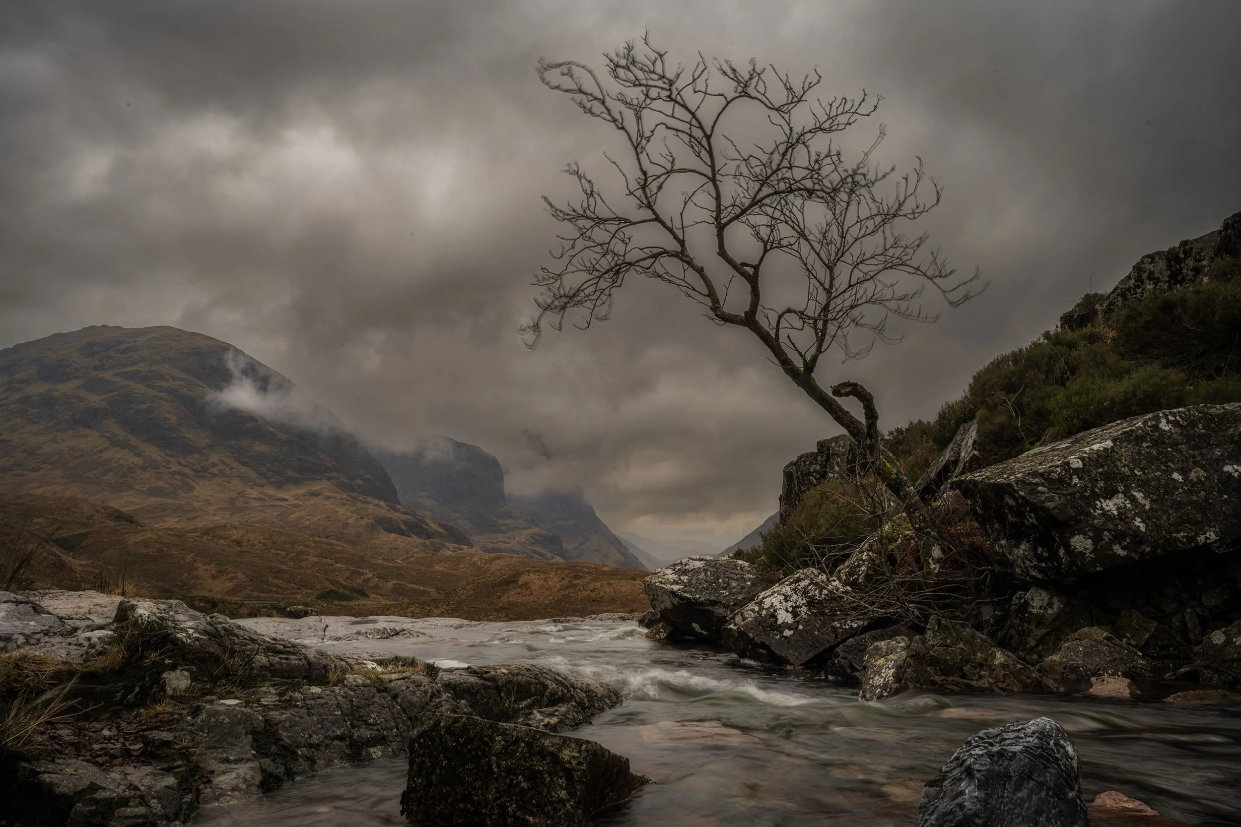 _DSC4105 edit copy.jpg