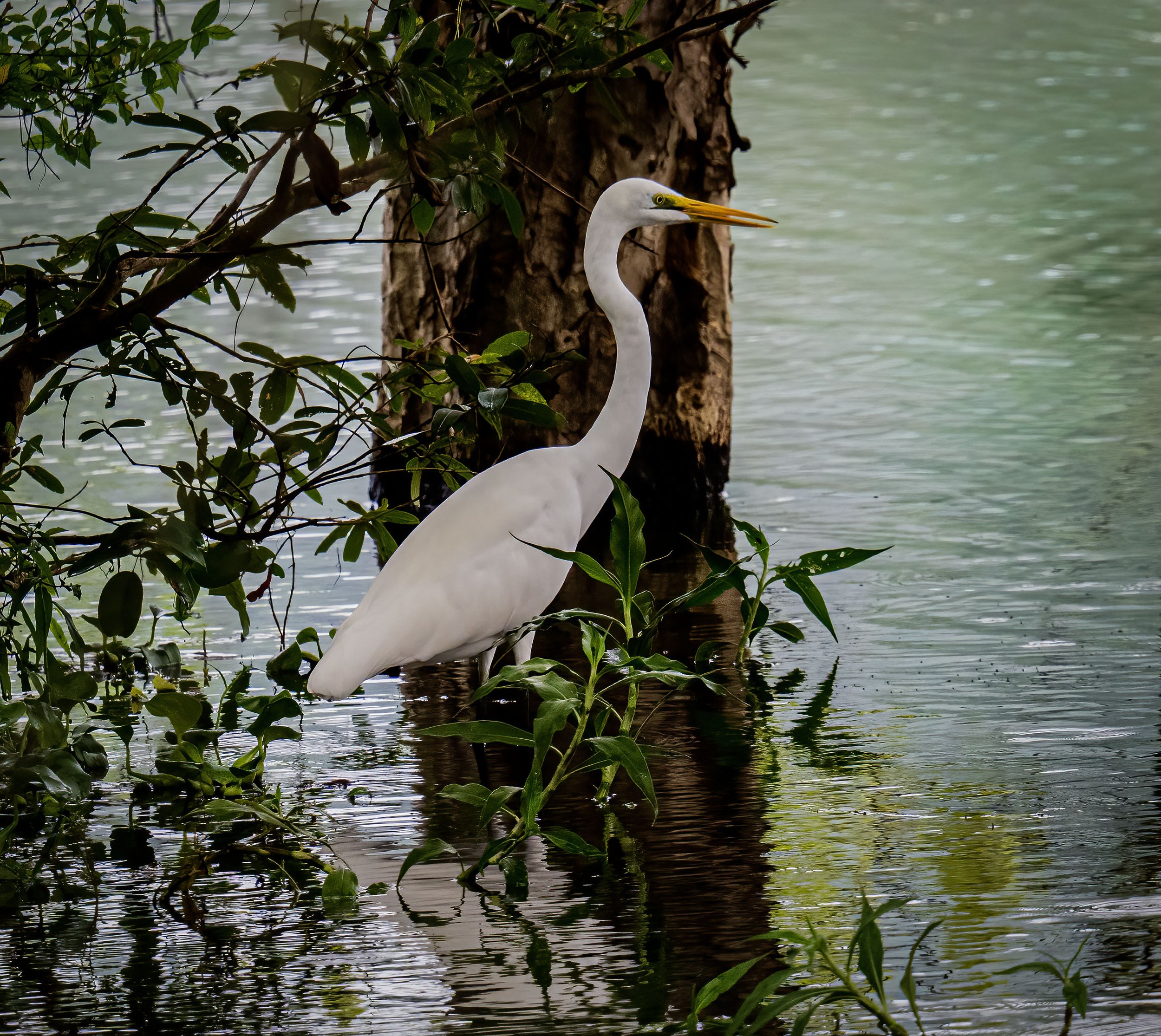 _DSC3016edit copy.jpg