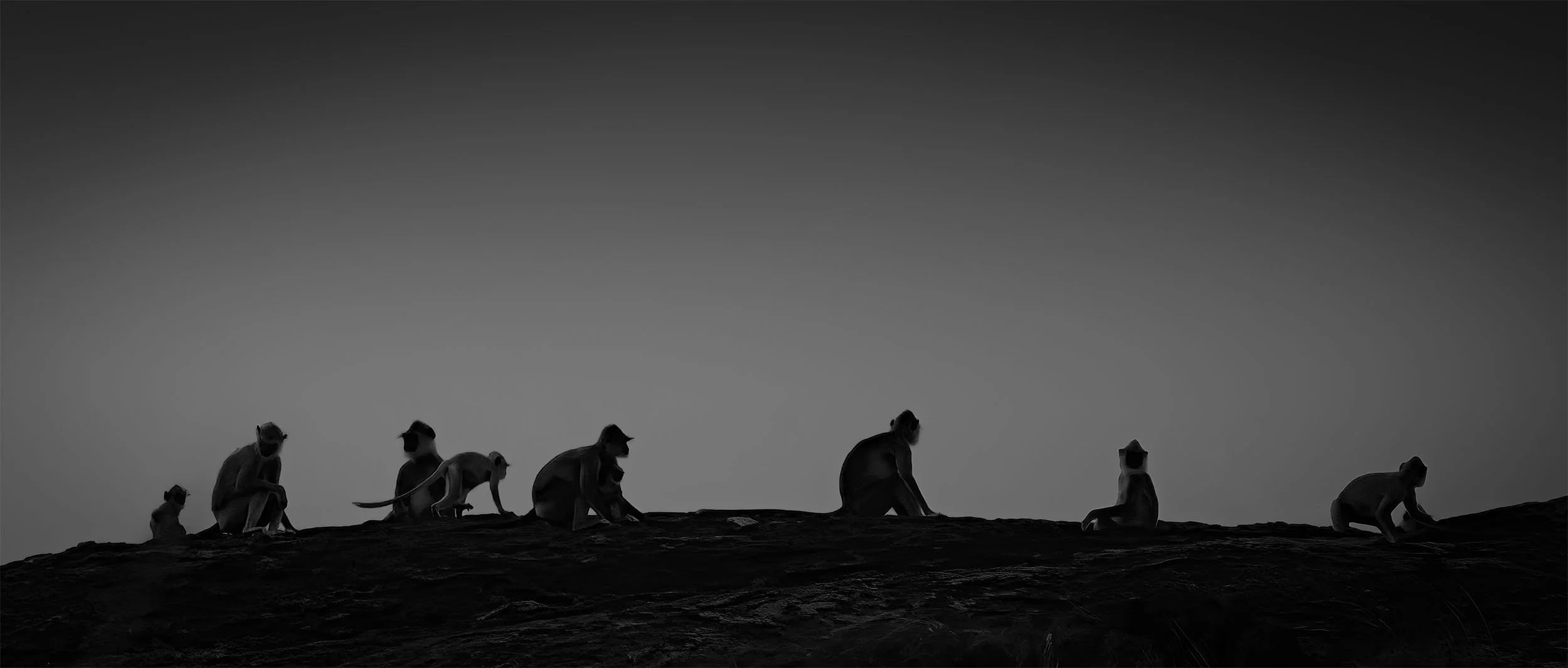 _DSC3068edit copy.jpg