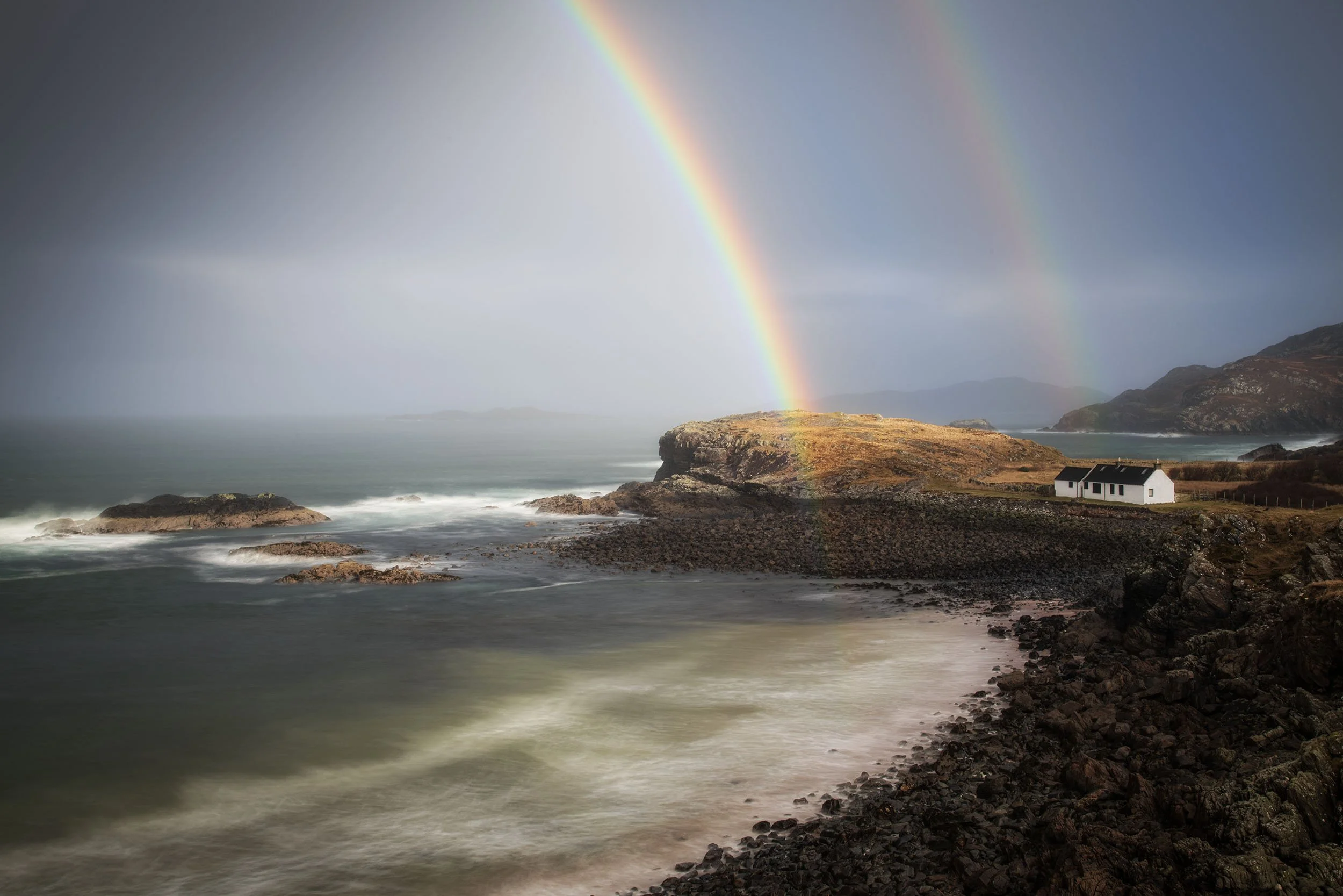 DSC_3437sharp copy.jpg